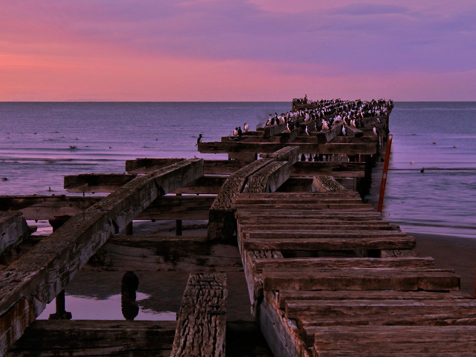 Rondreis Chili, Punta Arenas, pier