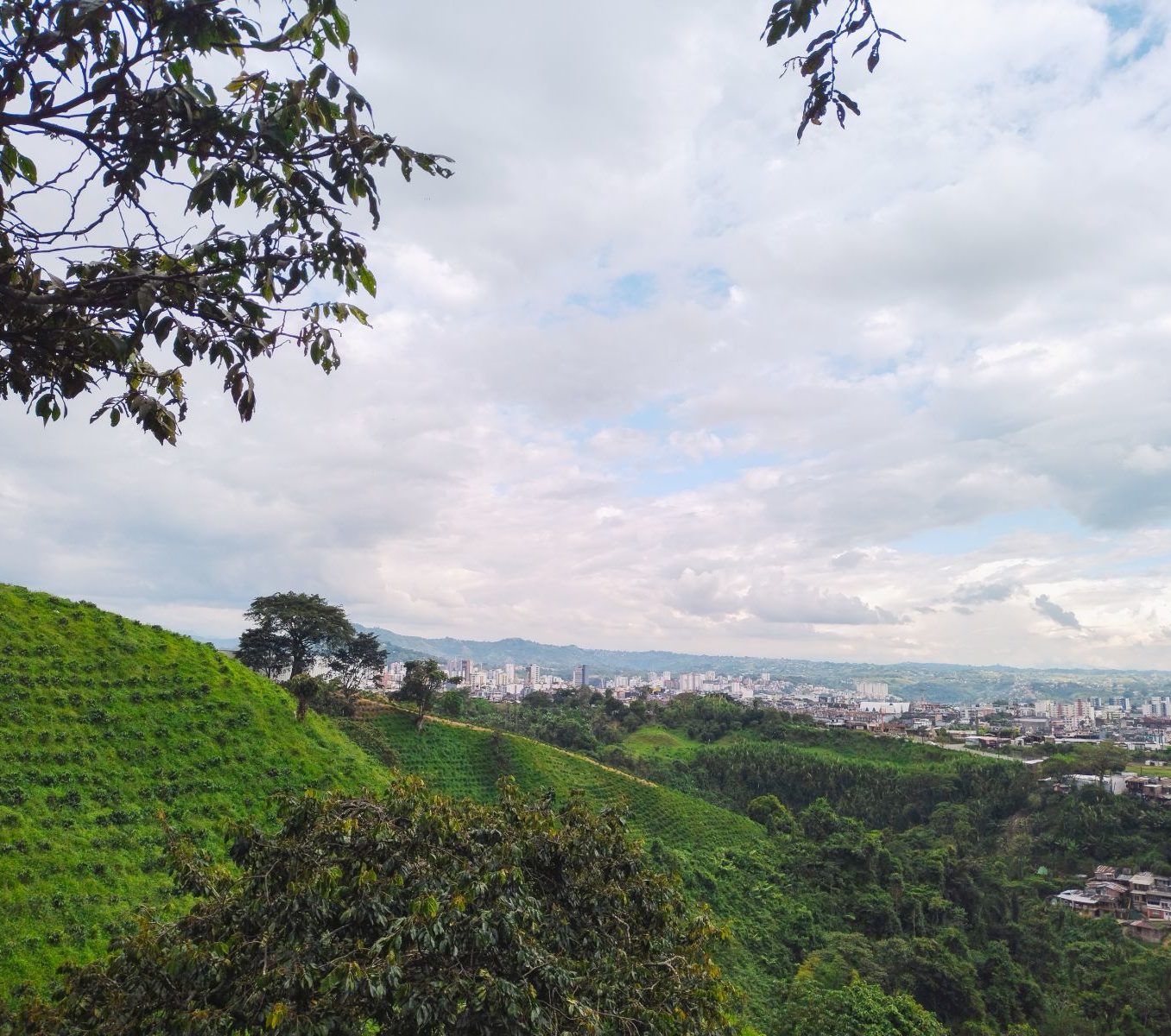 Rondreis Colombia, Pereira, uitzicht op de stad
