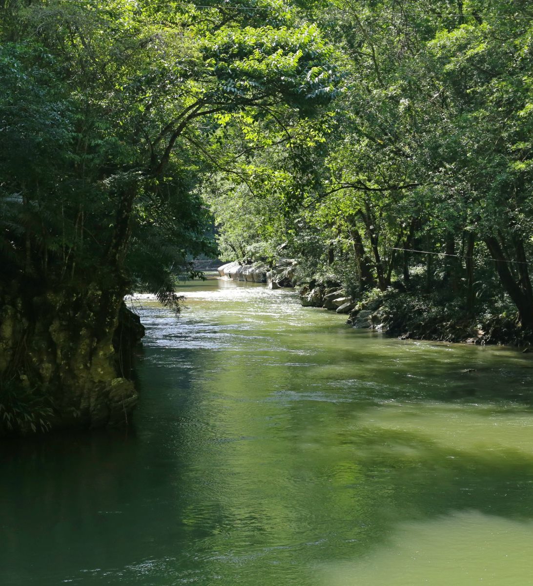 Rondreis Colombia, Río Claro, rivier