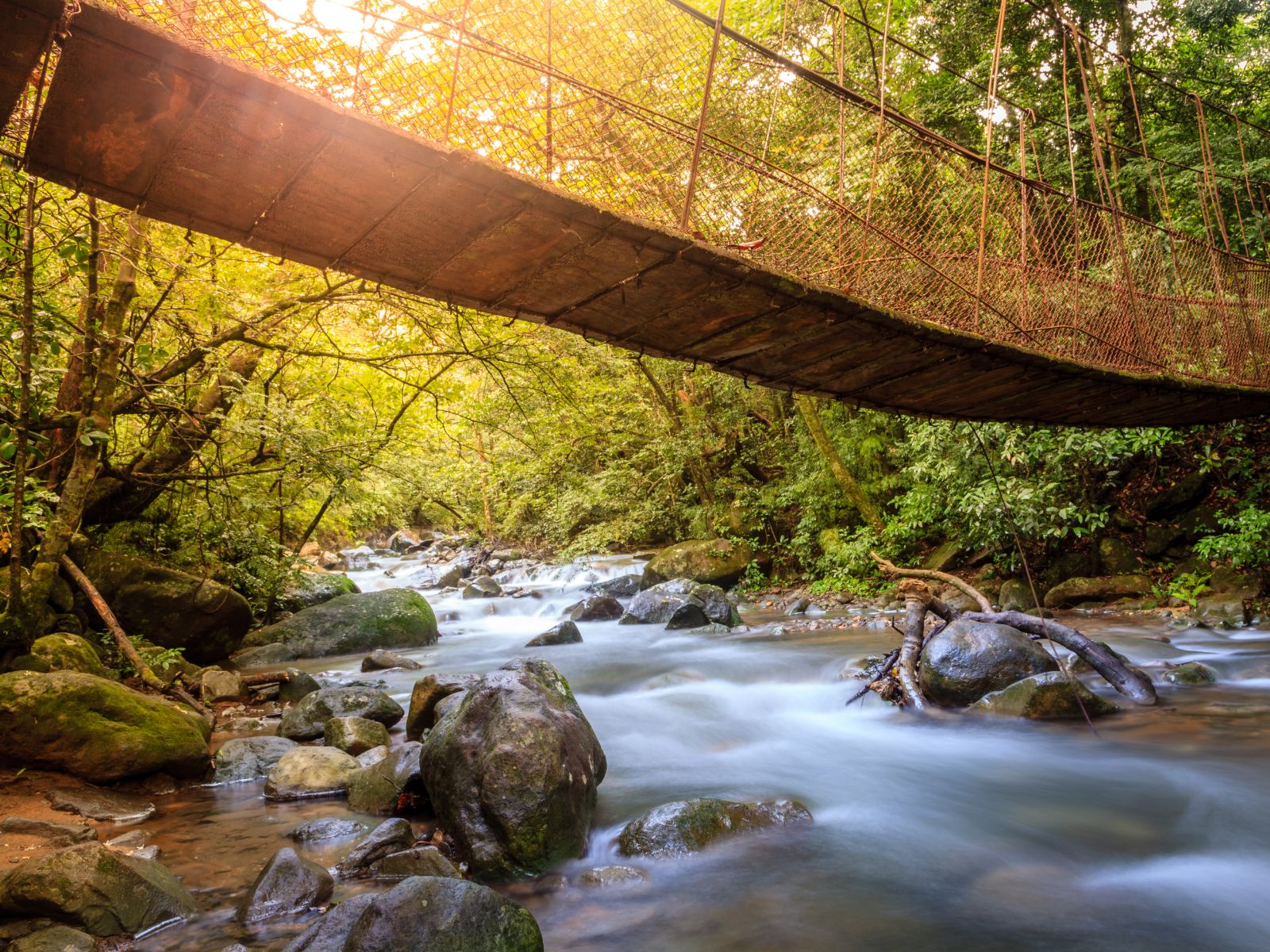 Rondreis Costa Rica, Rincon de la Vieja, loopbrug over stroming