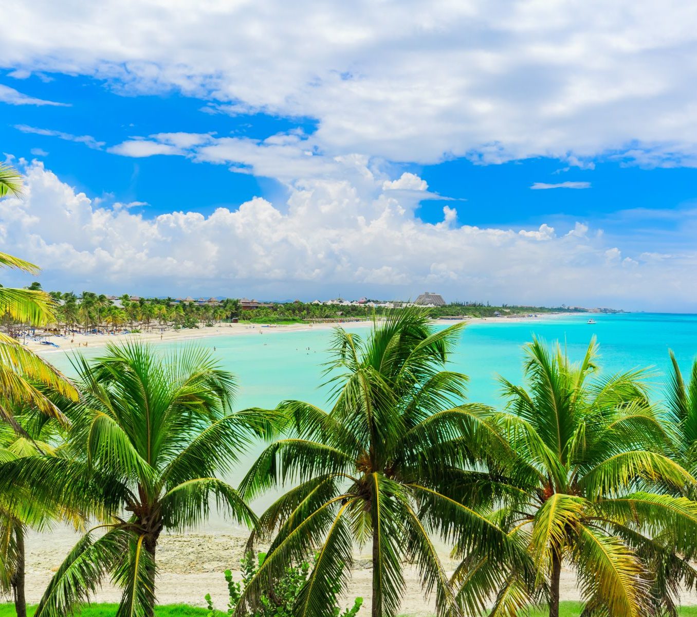 Rondreis Cuba, Varadero, strand met palmbomen