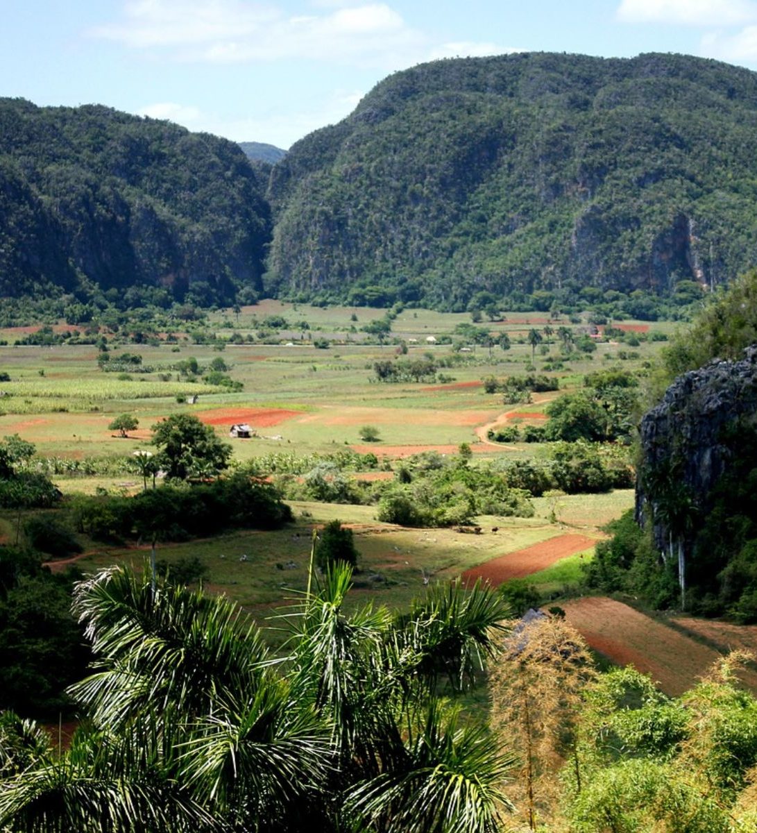 Rondreis Cuba, Viñales Vallei tabakvelden