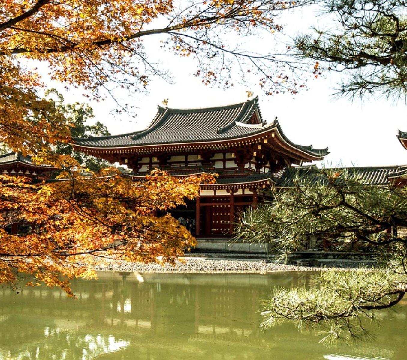 Rondreis Japan, Uji, Byodoin Tempel zijaanzicht
