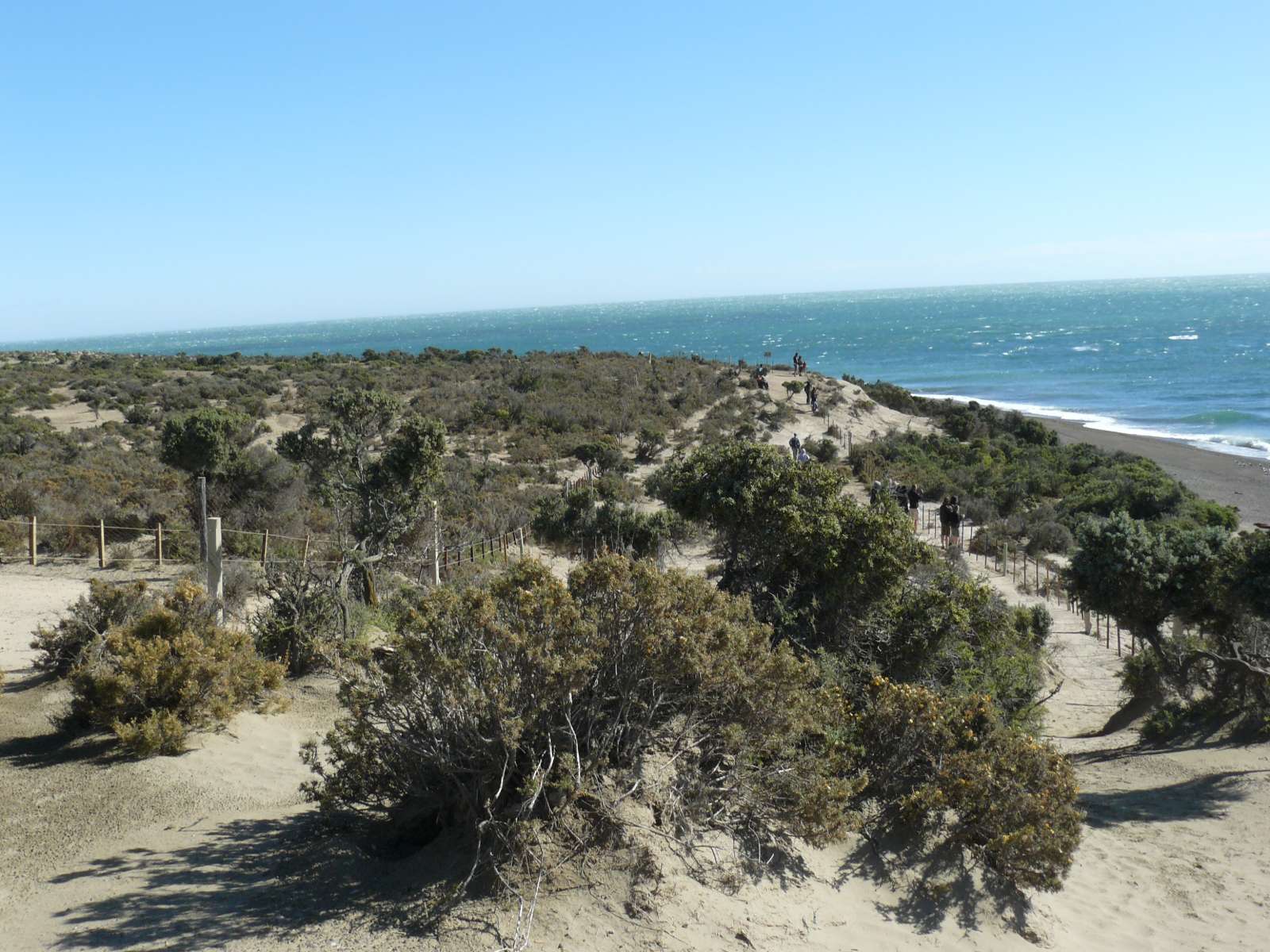 rondreis argentinie puerto madryn valdes hoogtepunt 19