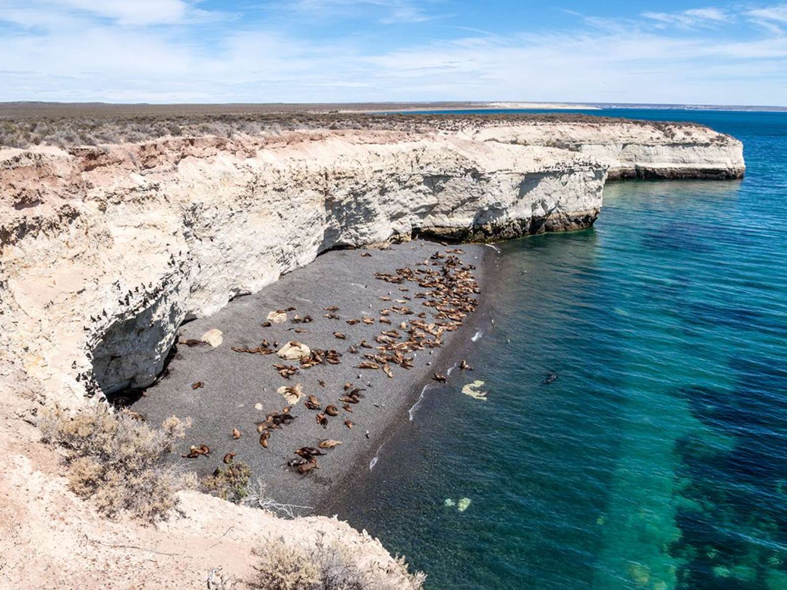rondreis argentinie valdes puerto madryn hoogtepunt 6