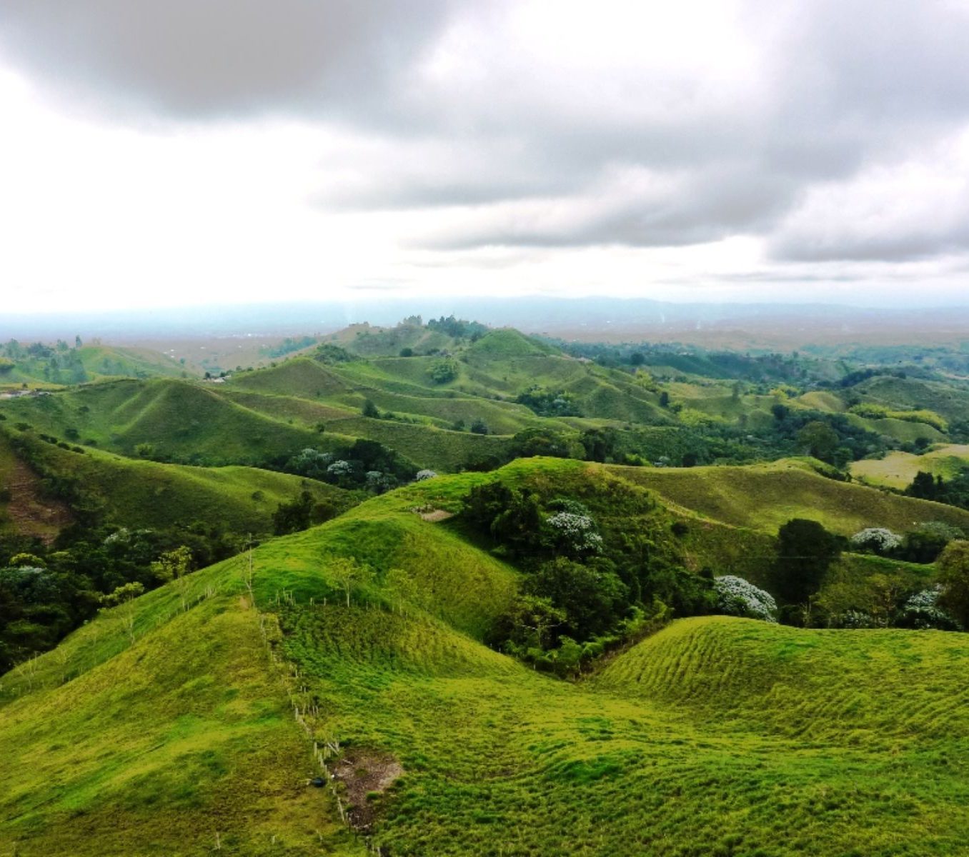 rondreis colombia, koffieregio heuvels