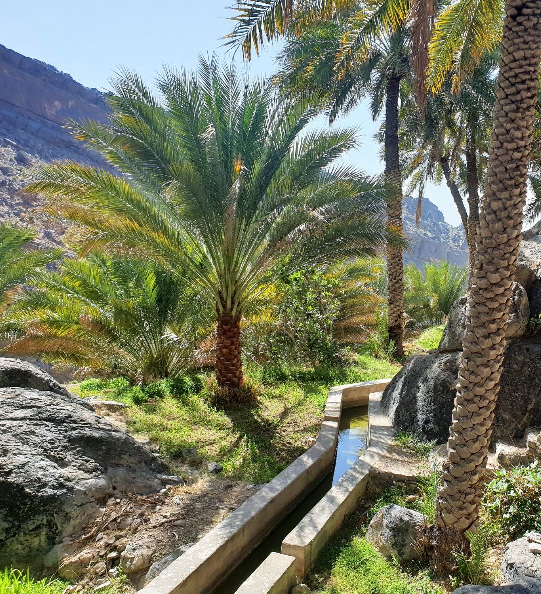 rondreis oman, misfah al abreyeen Falaj Aflaj Irrigation Systems