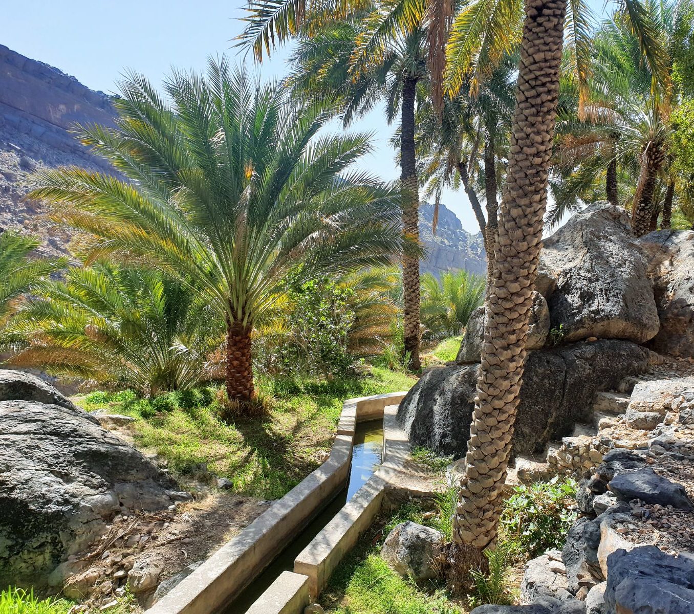 rondreis oman, misfah al abreyeen Falaj Aflaj Irrigation Systems