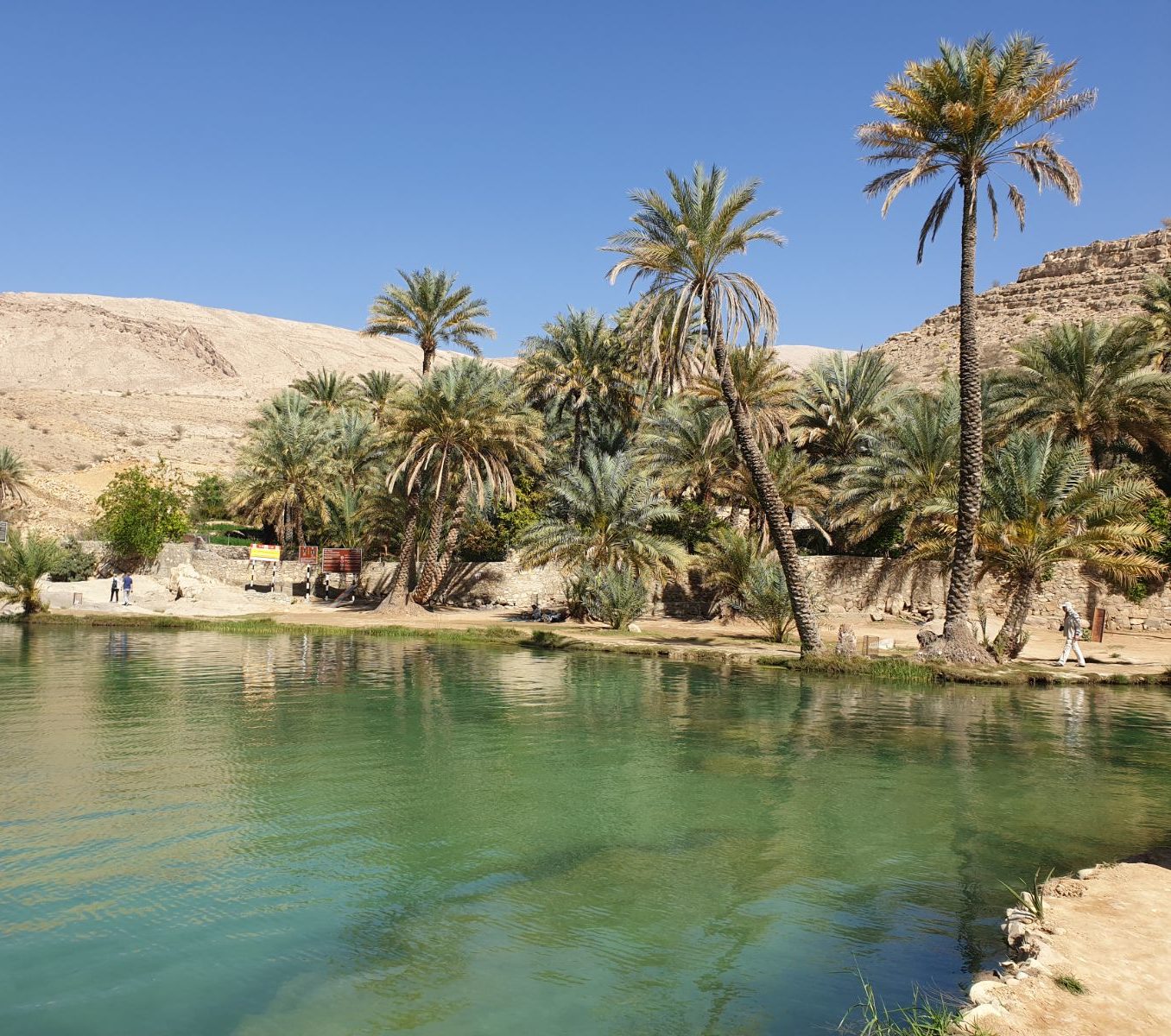 rondreis oman, wadi bani khalid Oasis uizicht rechterkant