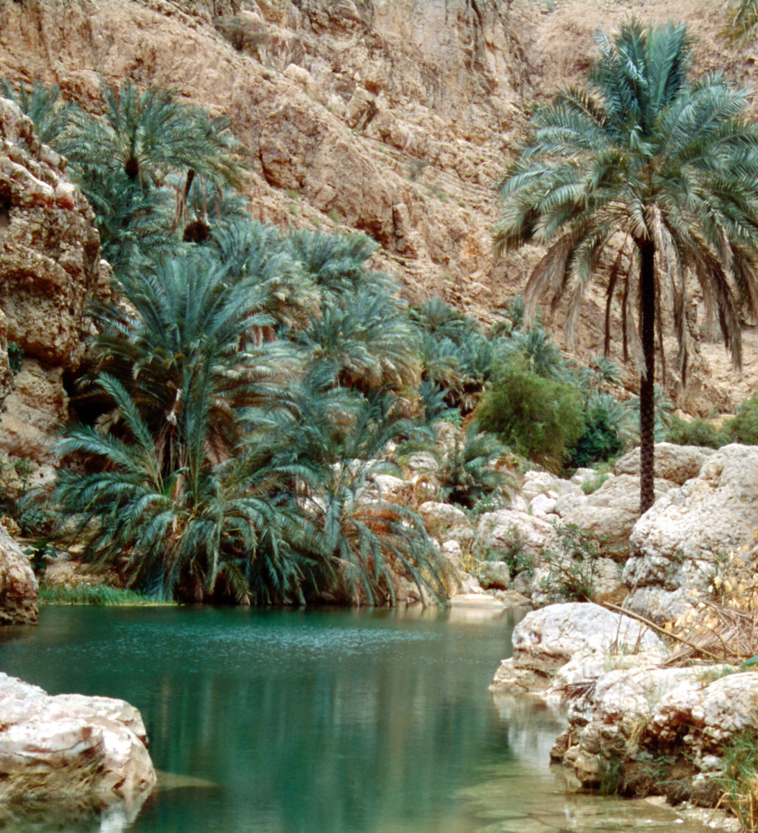 rondreis oman, wadi shab Oasis