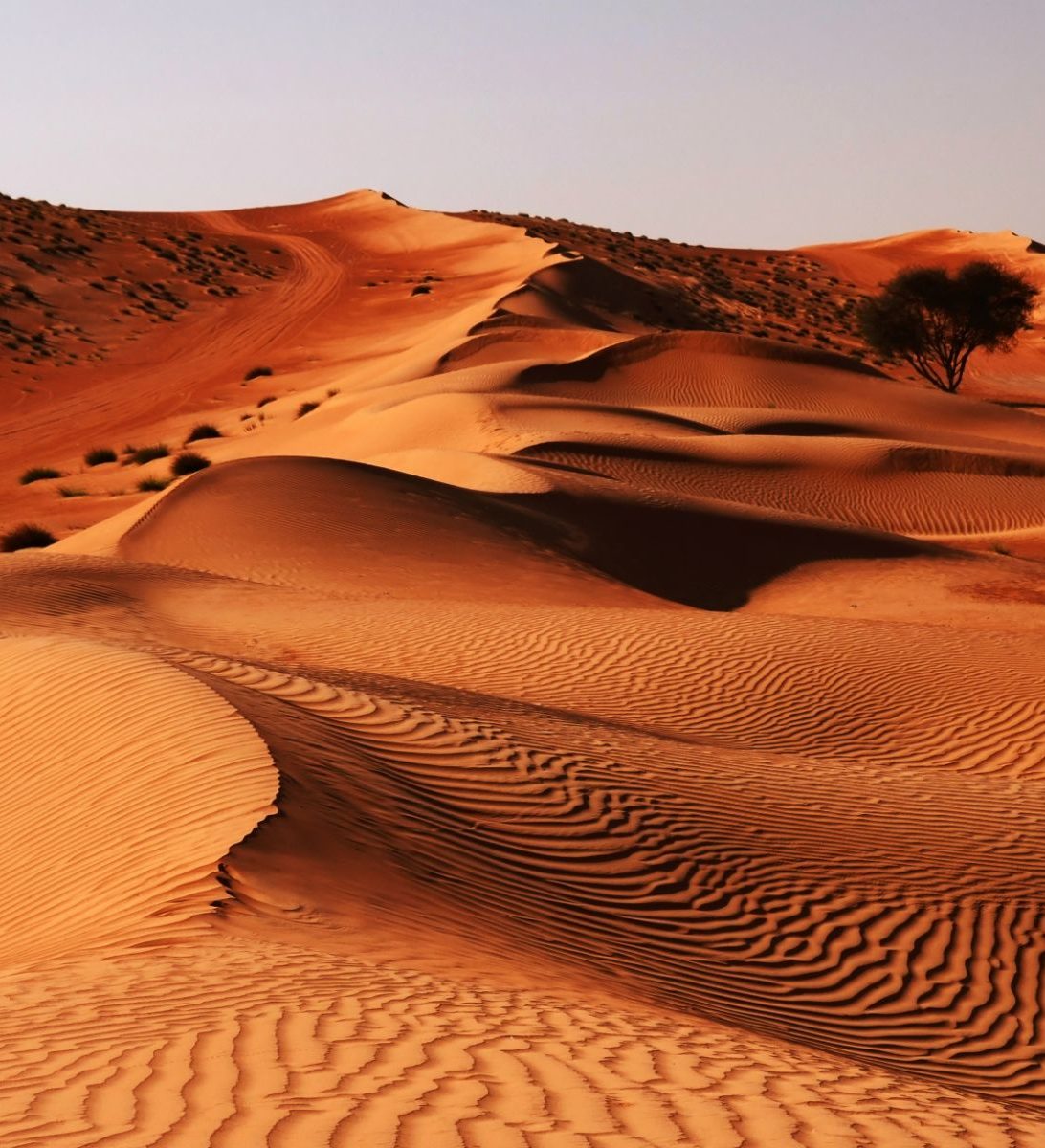 rondreis oman, wahiba sands Woestijn 3