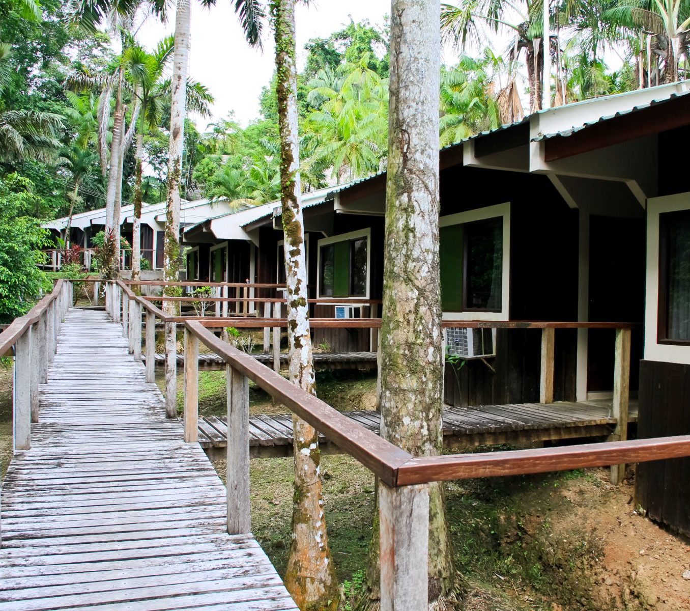 rondreis peru, iquitos, ceiba tops lodge accommodatie