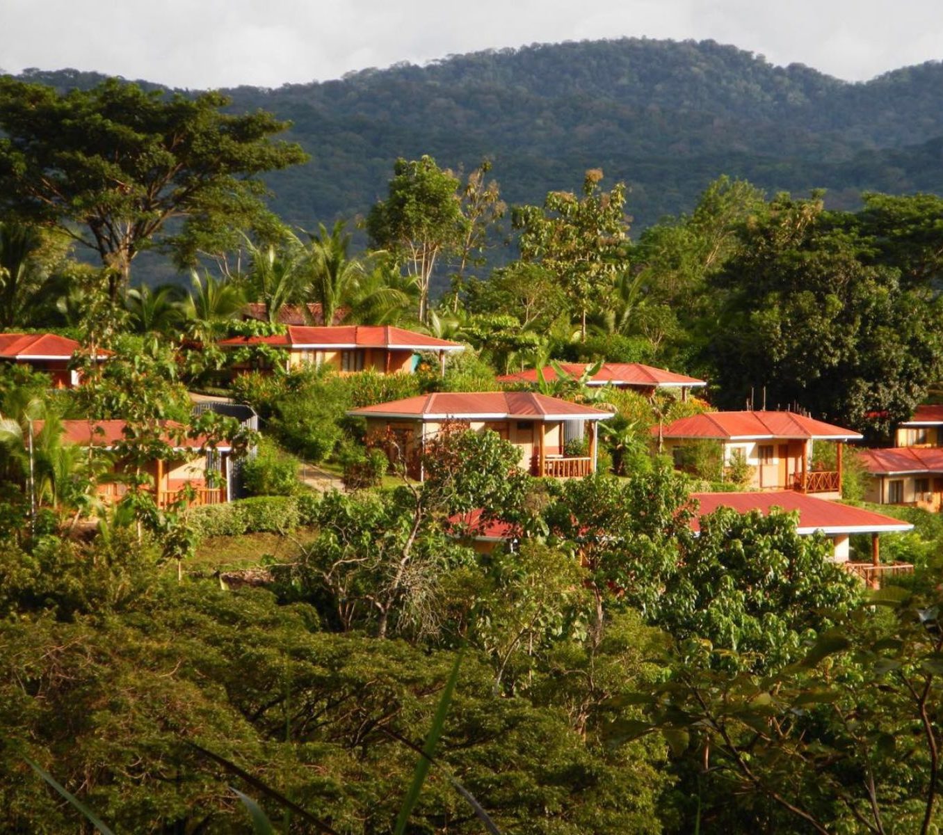 Rondreis Costa Rica, Tarcoles, Hotel Cerro Lodge, buitenaanzicht accommodatie