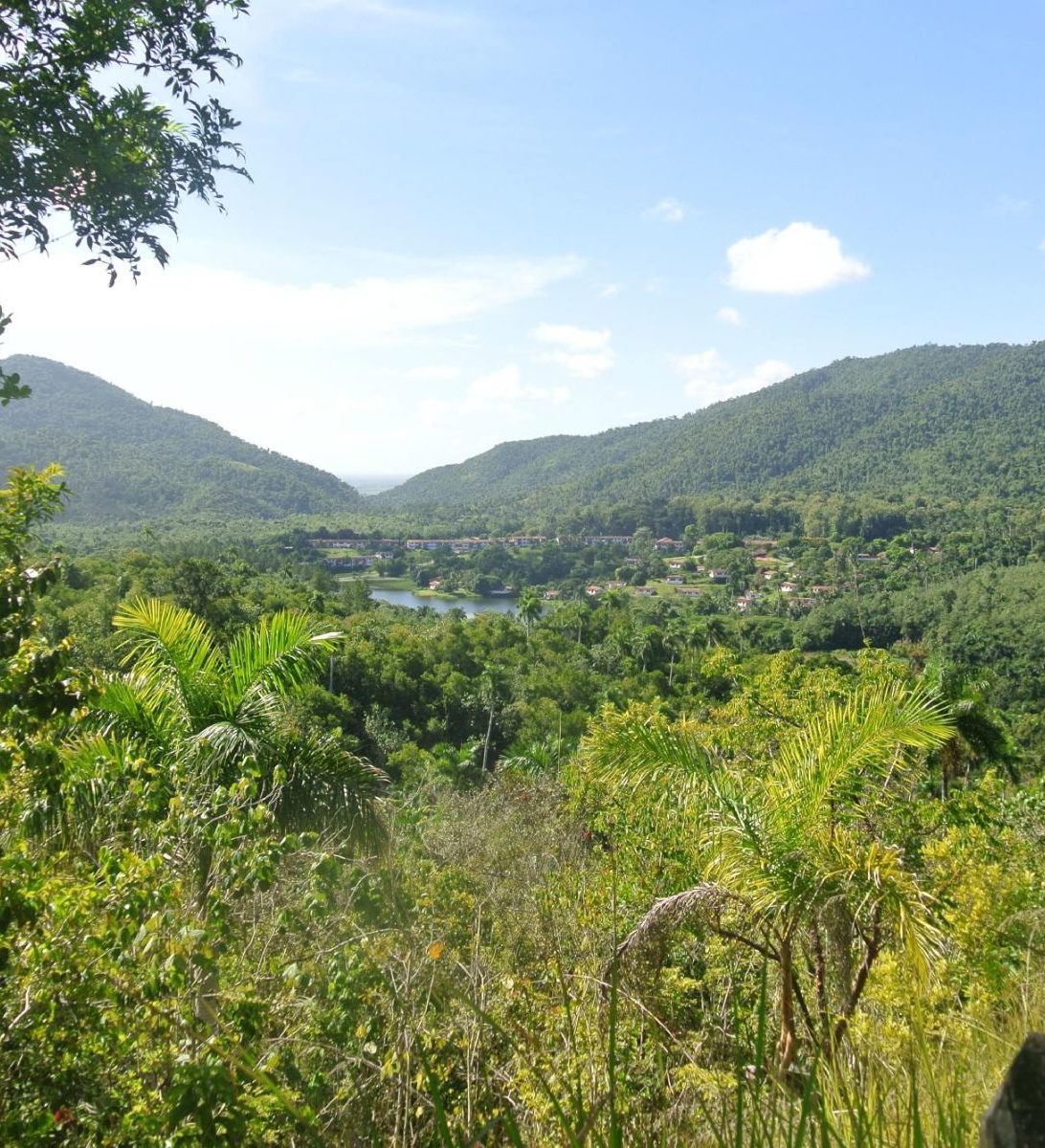 Rondreis Cuba, Las Terrazas, overzicht natuurreservaat