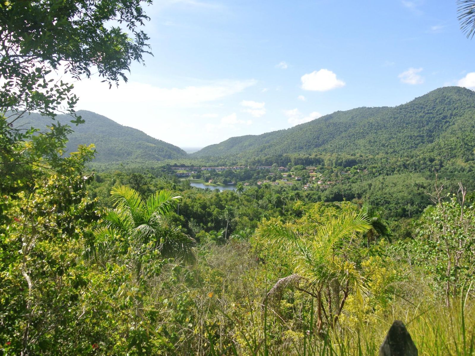 Rondreis Cuba, Las Terrazas, overzicht natuurreservaat