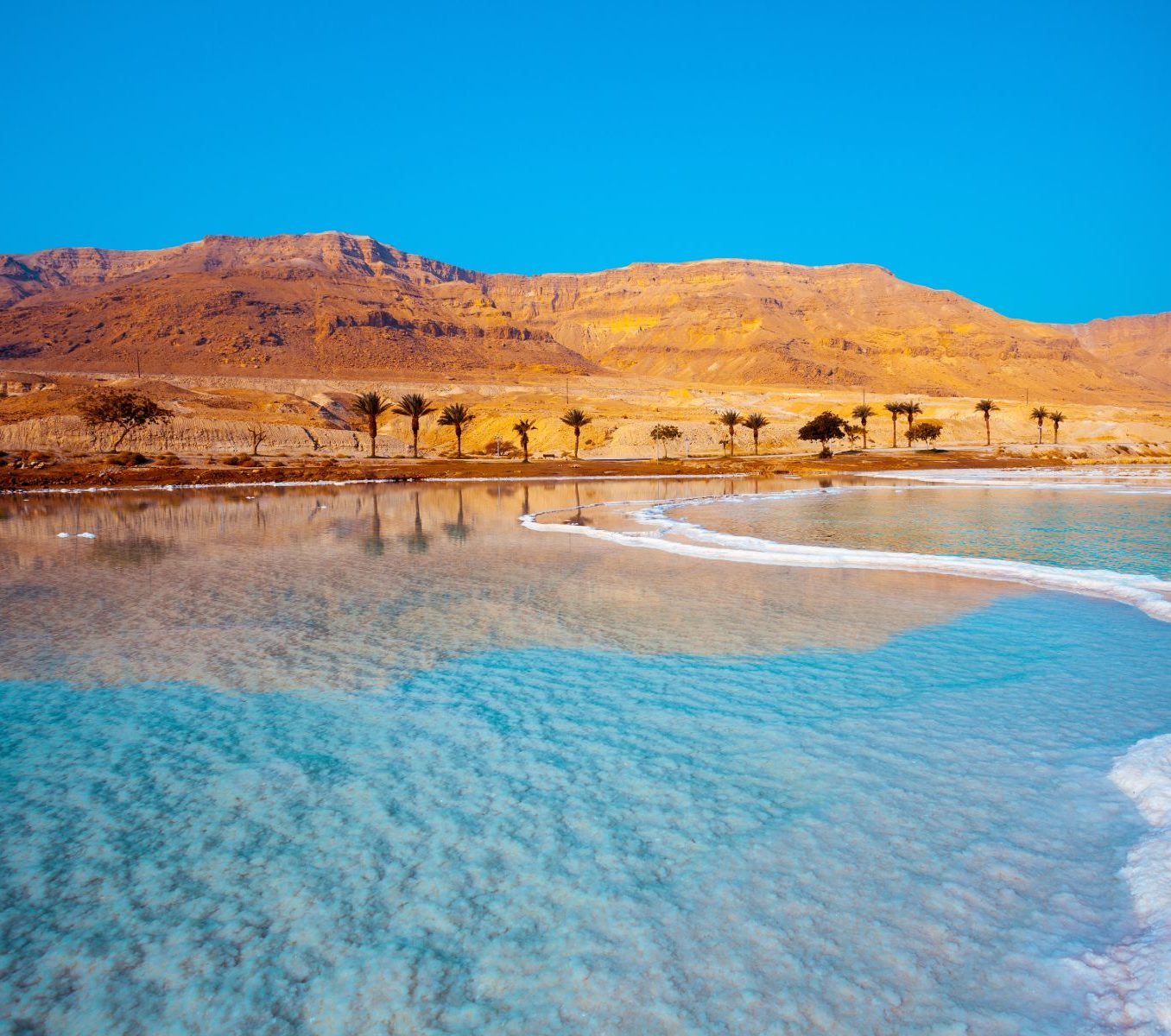 Rondreis Jordanië, Dead Sea, palmbomen op achtergrond