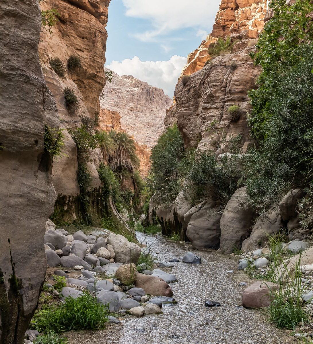 Rondreis Jordanië, Wadi Ghuweir, met plantengroei Rondreis Jordanië, Wadi Ghuweir, met plantengroei