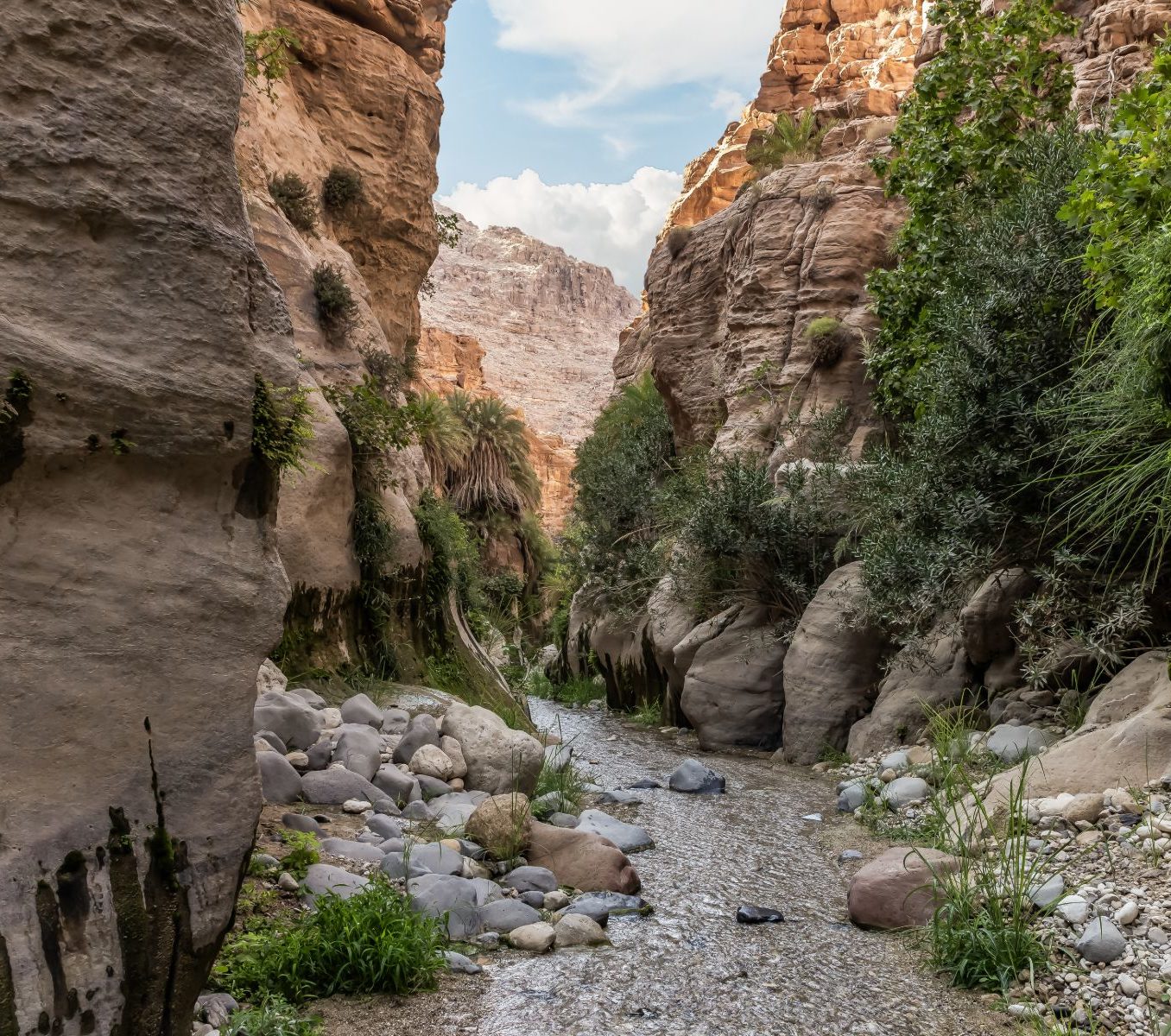 Rondreis Jordanië, Wadi Ghuweir, met plantengroei