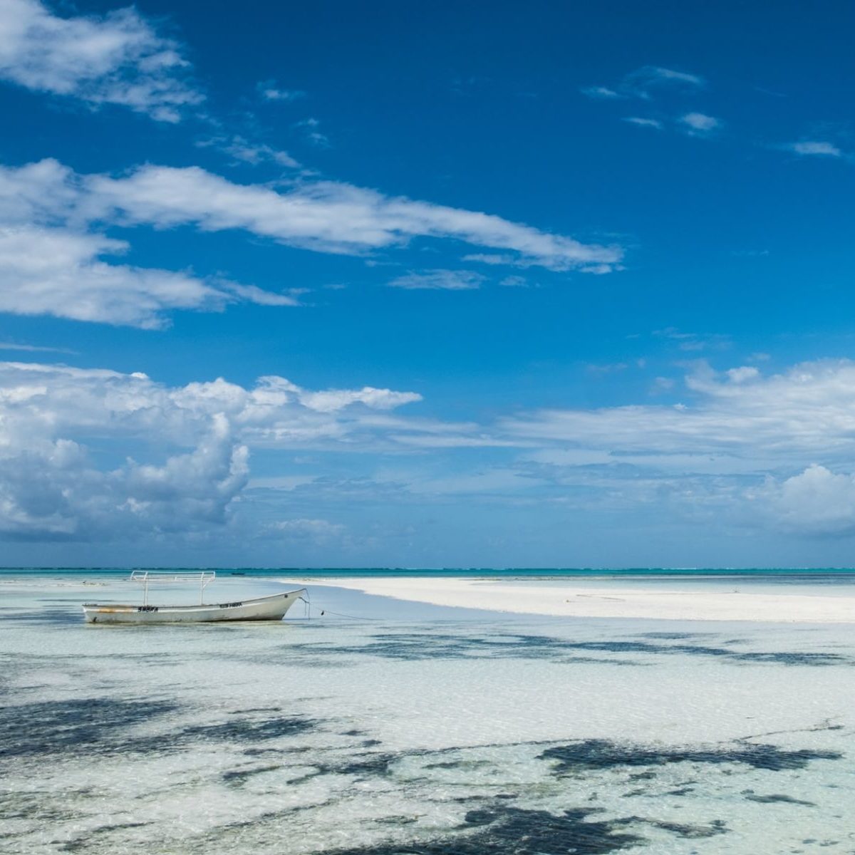 Rondreis Tanzania, Zanzibar, boot in het water