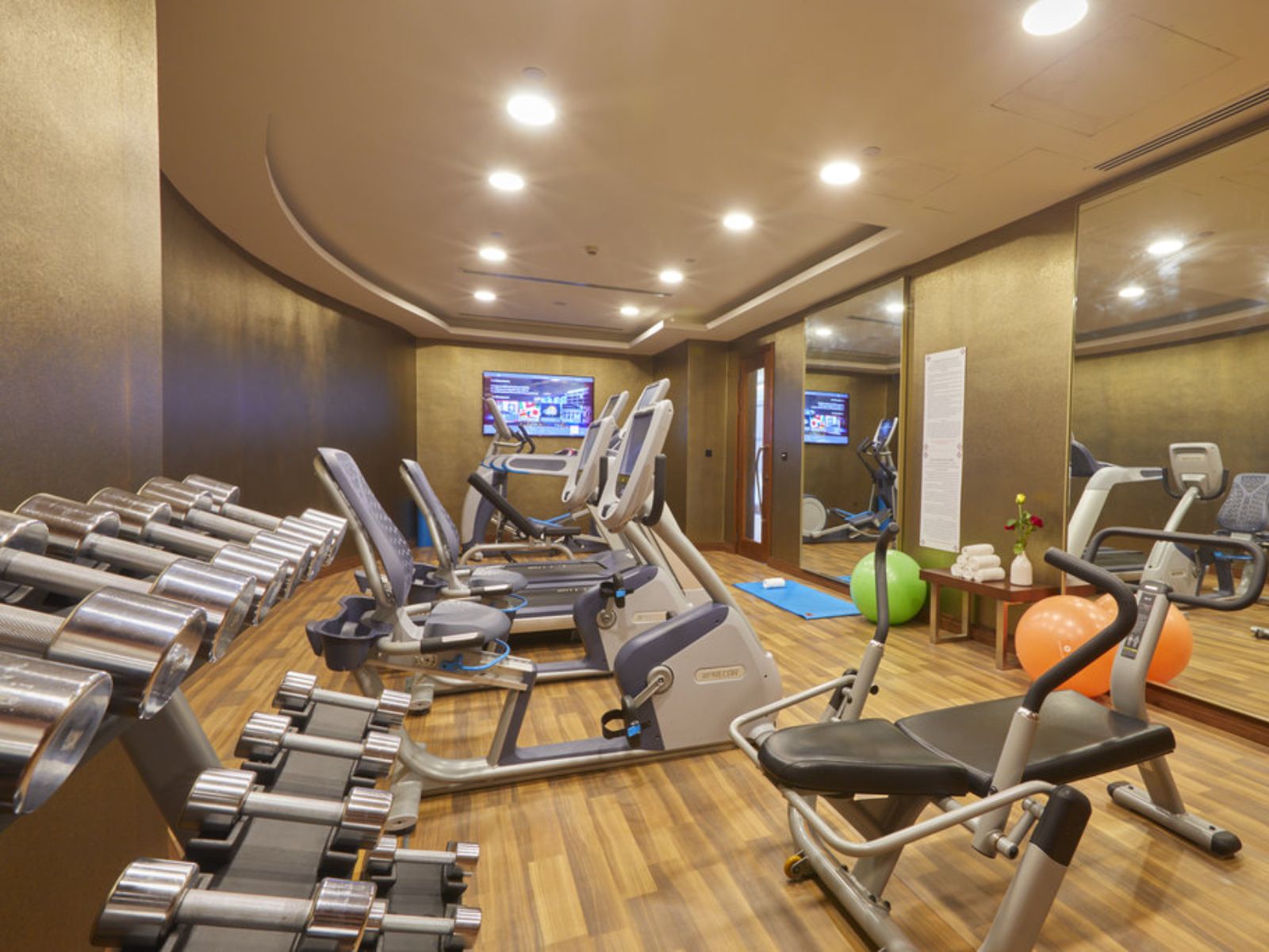 Rondreis Oman, Milenium Resort Salalah fitness