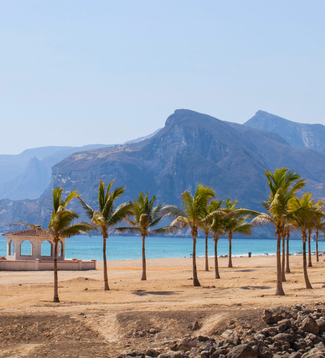 rondreis-oman-salalah-strand-aspect-ratio-382-420 rondreis oman, salalah strand