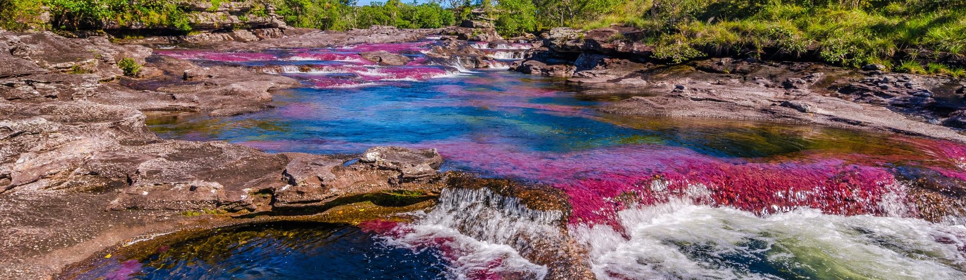Rondreis Colombia, Caño Cristales, banner