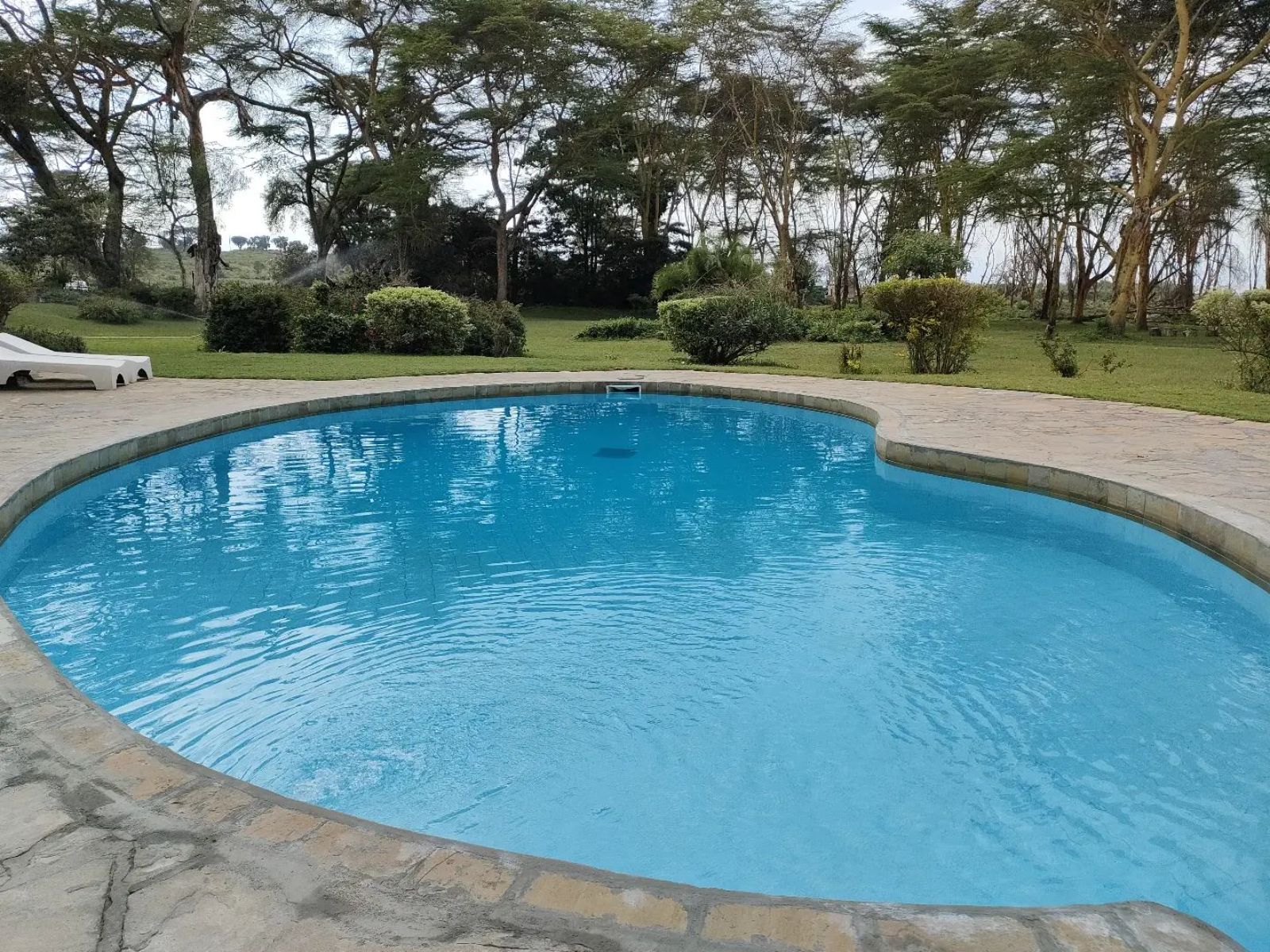Rondreis Kenia, Lake Naivasha, Bilashaka Lodge, zwembad