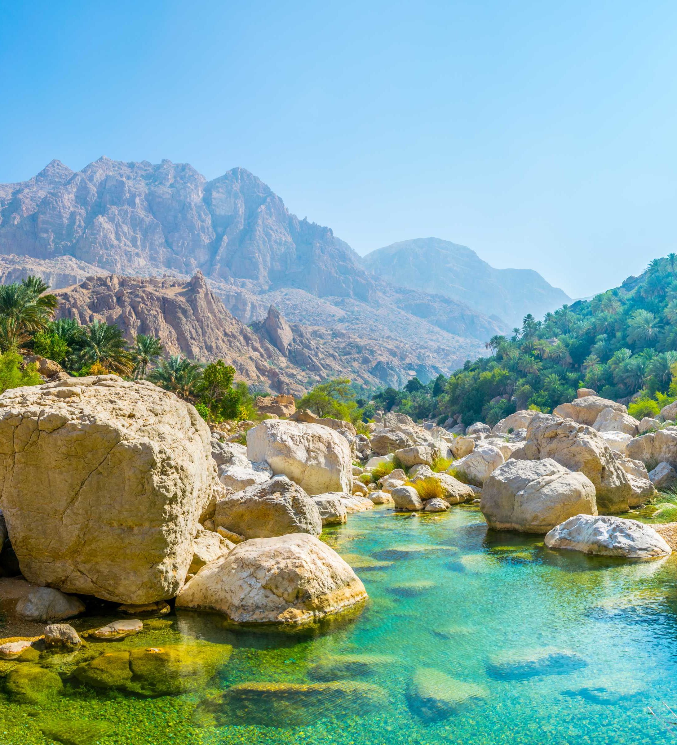 Rondreis Oman, Wadi Tiwi, oasis