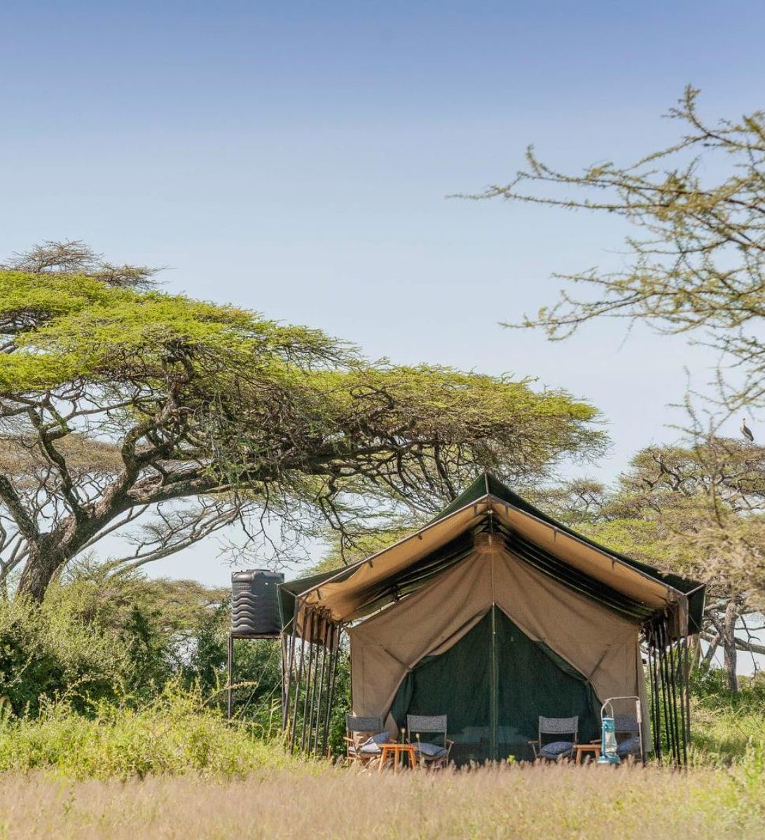 Rondreis Tanzania, Tarangire, Nyikani Tarangire Camp, buitenaanzicht tent