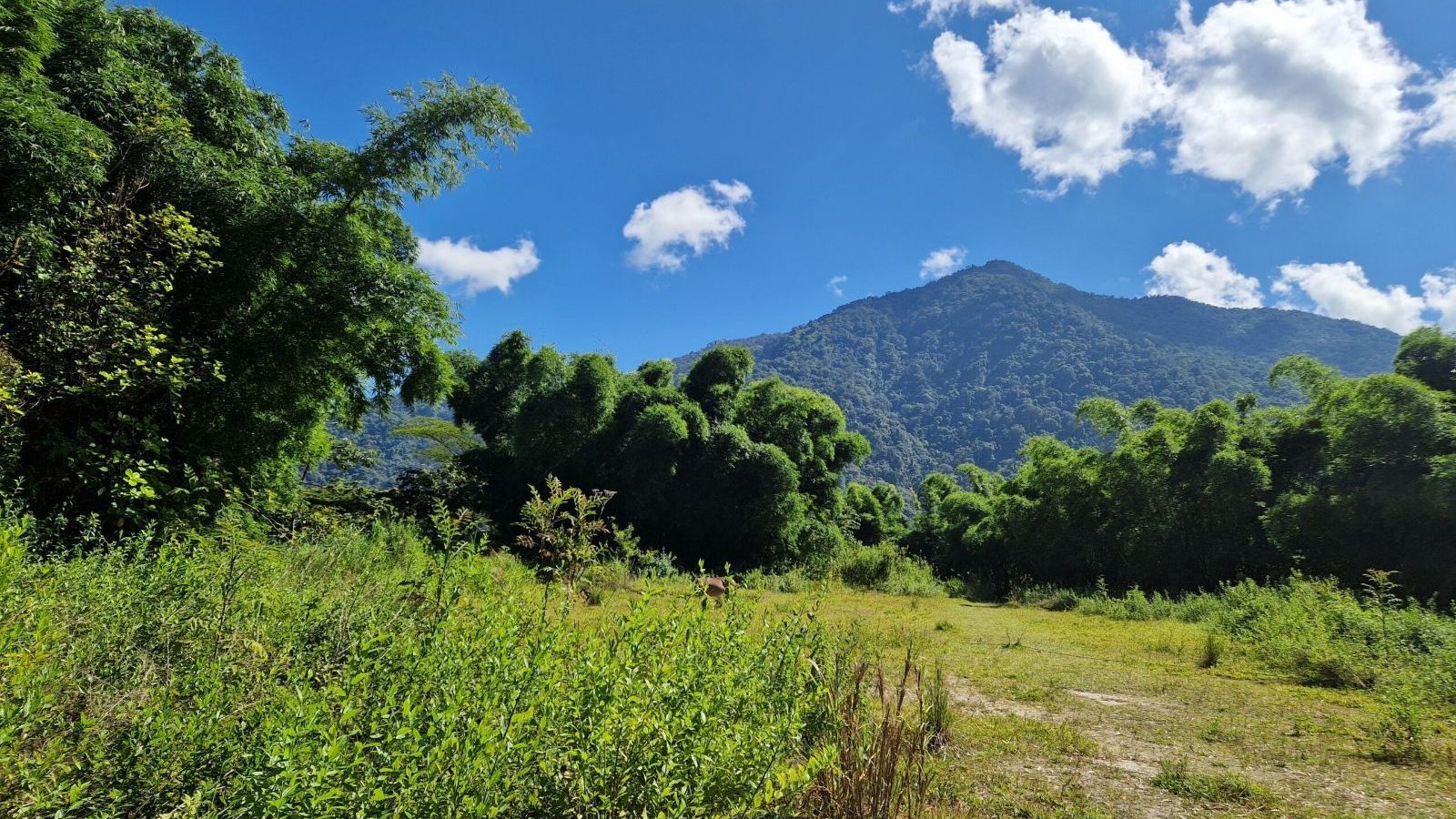 Rondreis Colombia, Minca pad