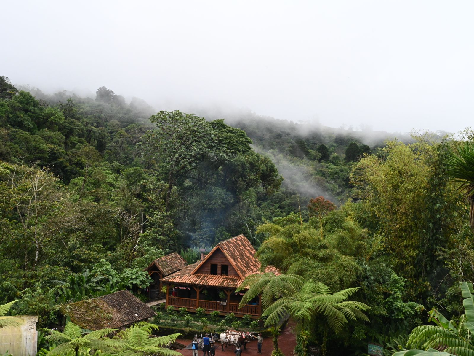 Rondreis Costa Rica, Alajuela, La Paz Waterfall Gardens bovenaanzicht
