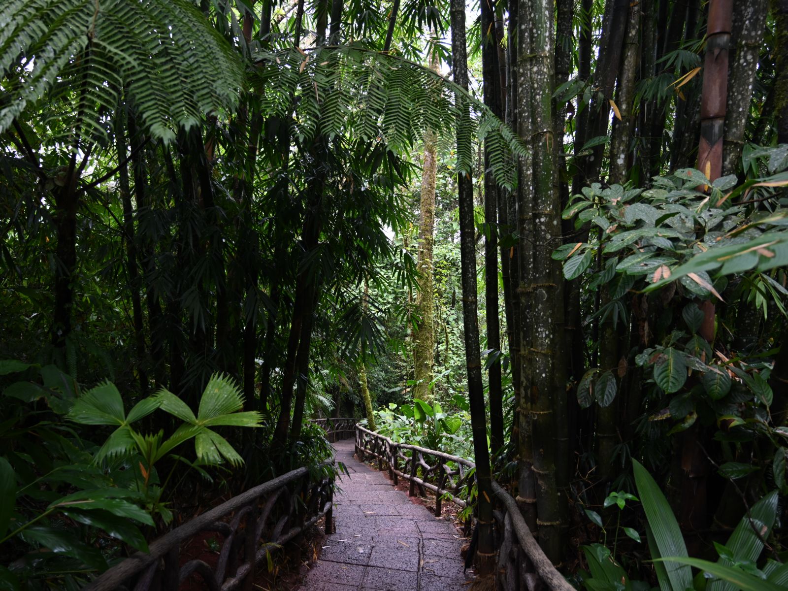 Rondreis Costa Rica, Alajuela, La Paz Waterfall Gardens wandelpad