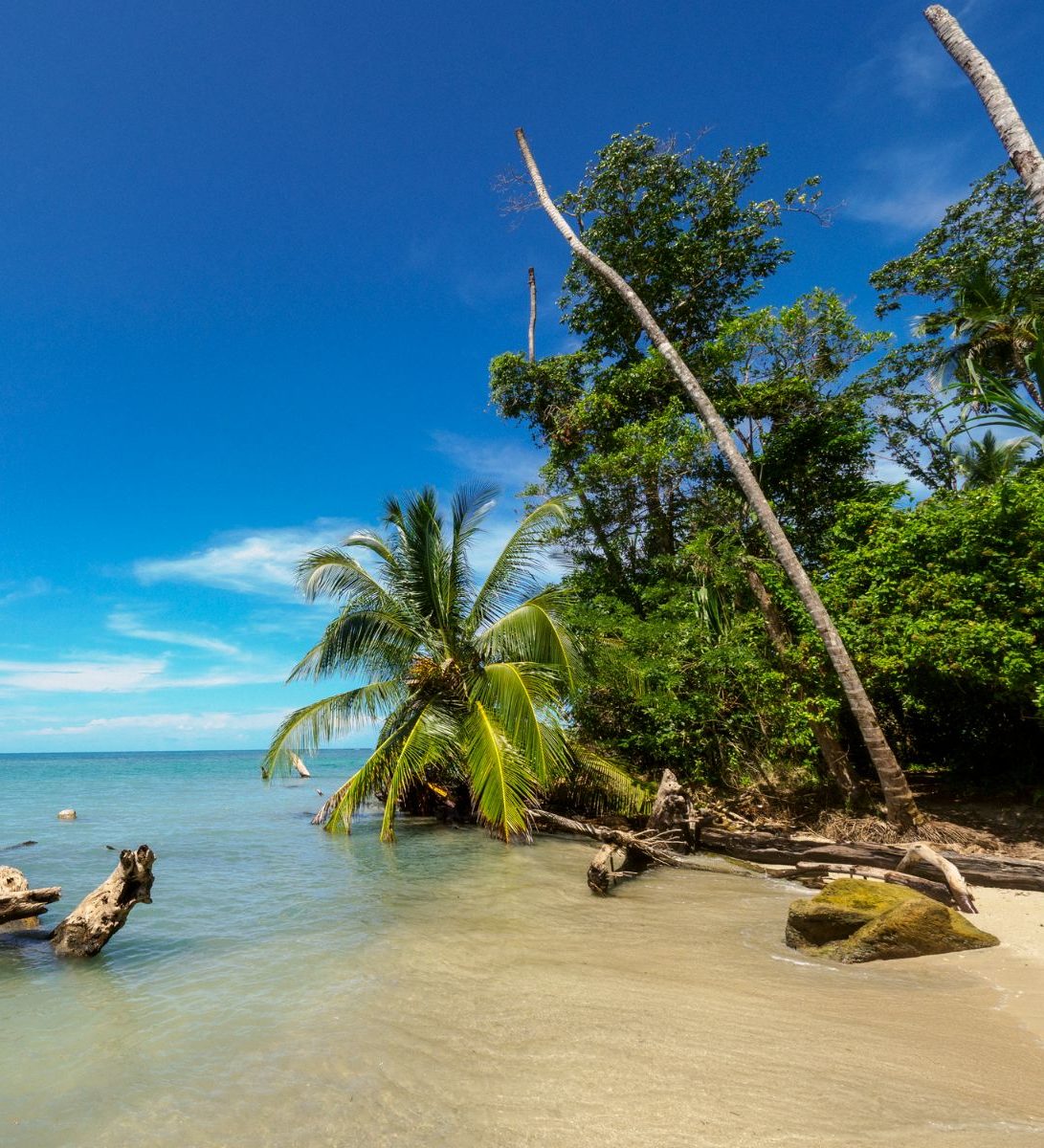Rondreis Costa Rica, Cahuita National Park, strand met palmbomen