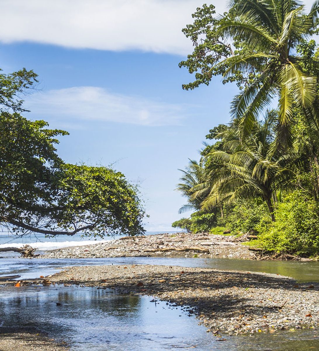 Rondreis Costa Rica, Corcovado, strand inham
