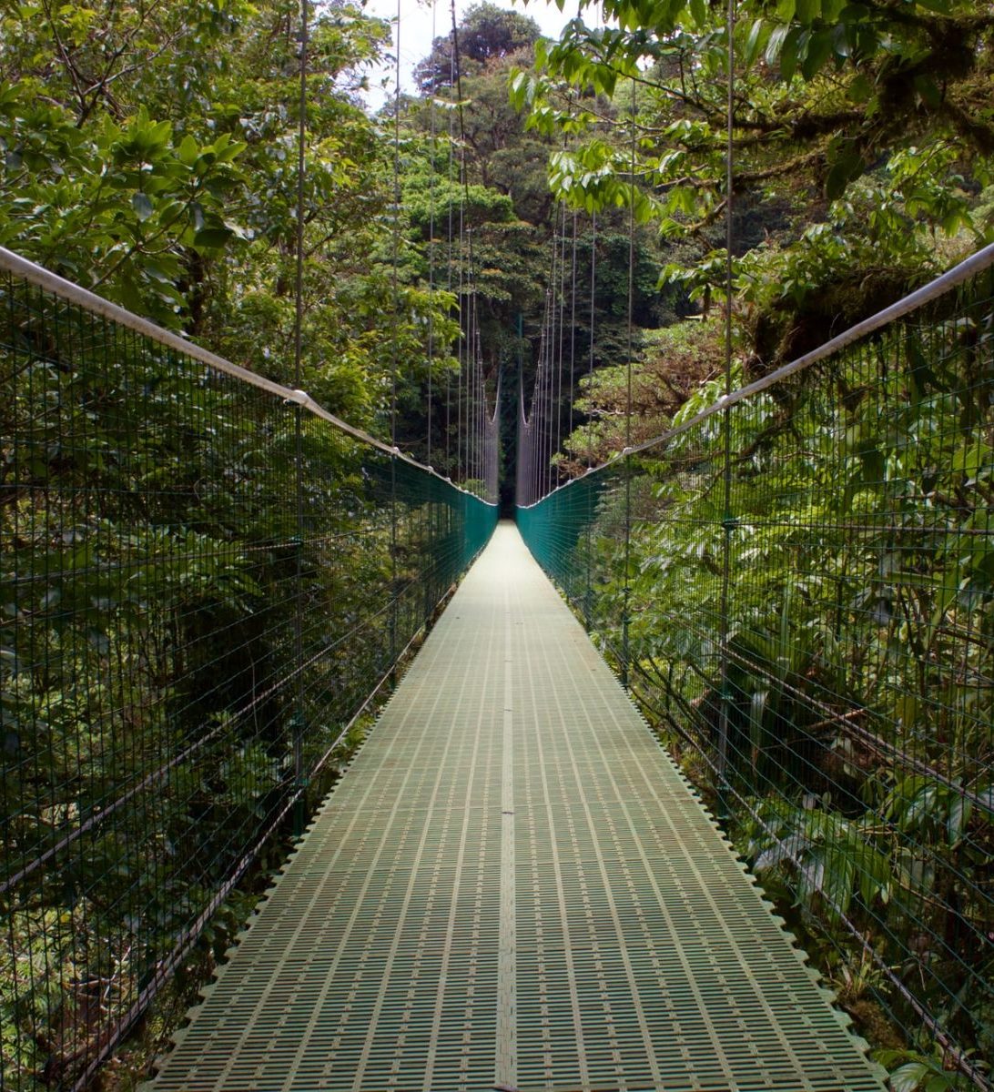 Rondreis Costa Rica, Monteverde, brug door het regenwoud Rondreis Costa Rica, Monteverde, brug door het regenwoud