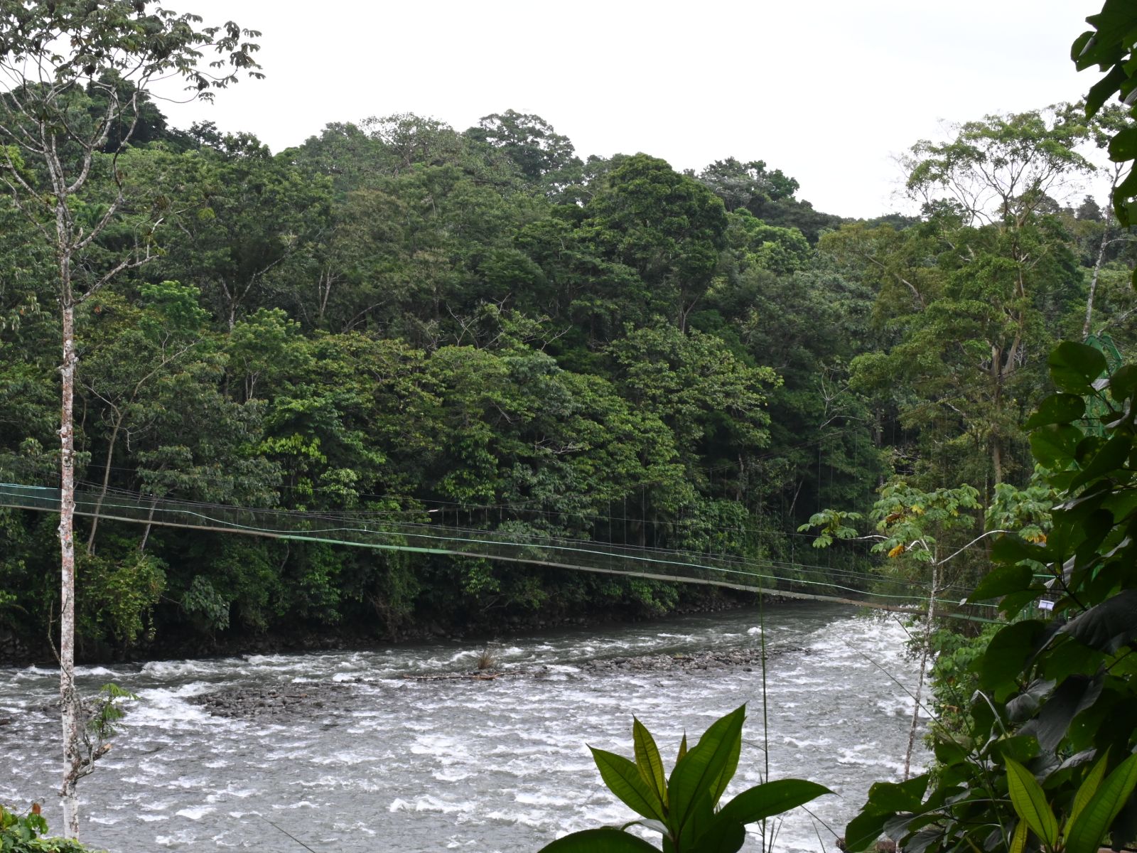 Rondreis Costa Rica, Sarapiqui, rivier met loopbrug