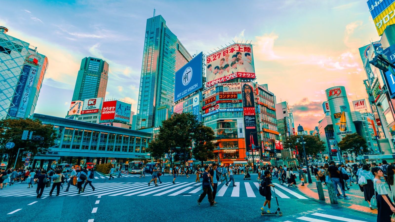Rondreis Japan, Tokyo, Shibuya Scramble Crossing