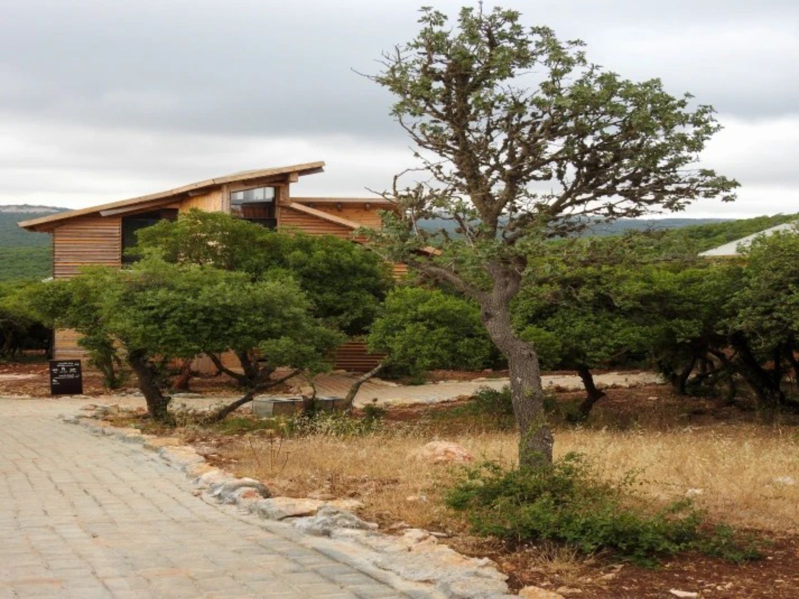 Rondreis Jordanië, Ajloun, RSCN Ajloun Cabins - buitenaanzicht cabin