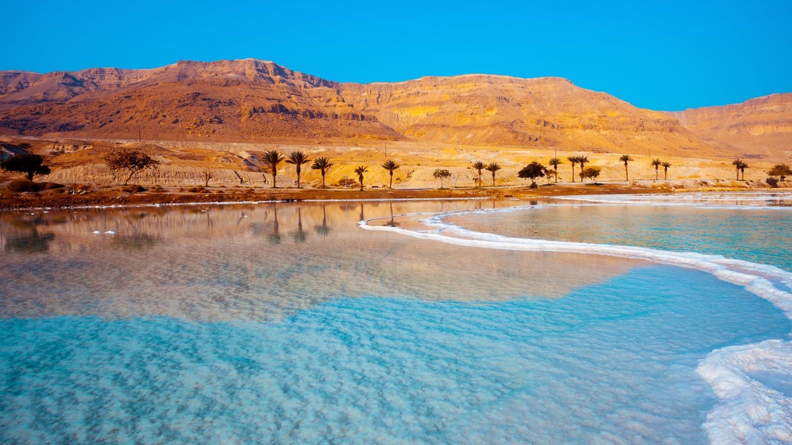 Rondreis-Jordanie-Dead-Sea-palmbomen-op-achtergrond