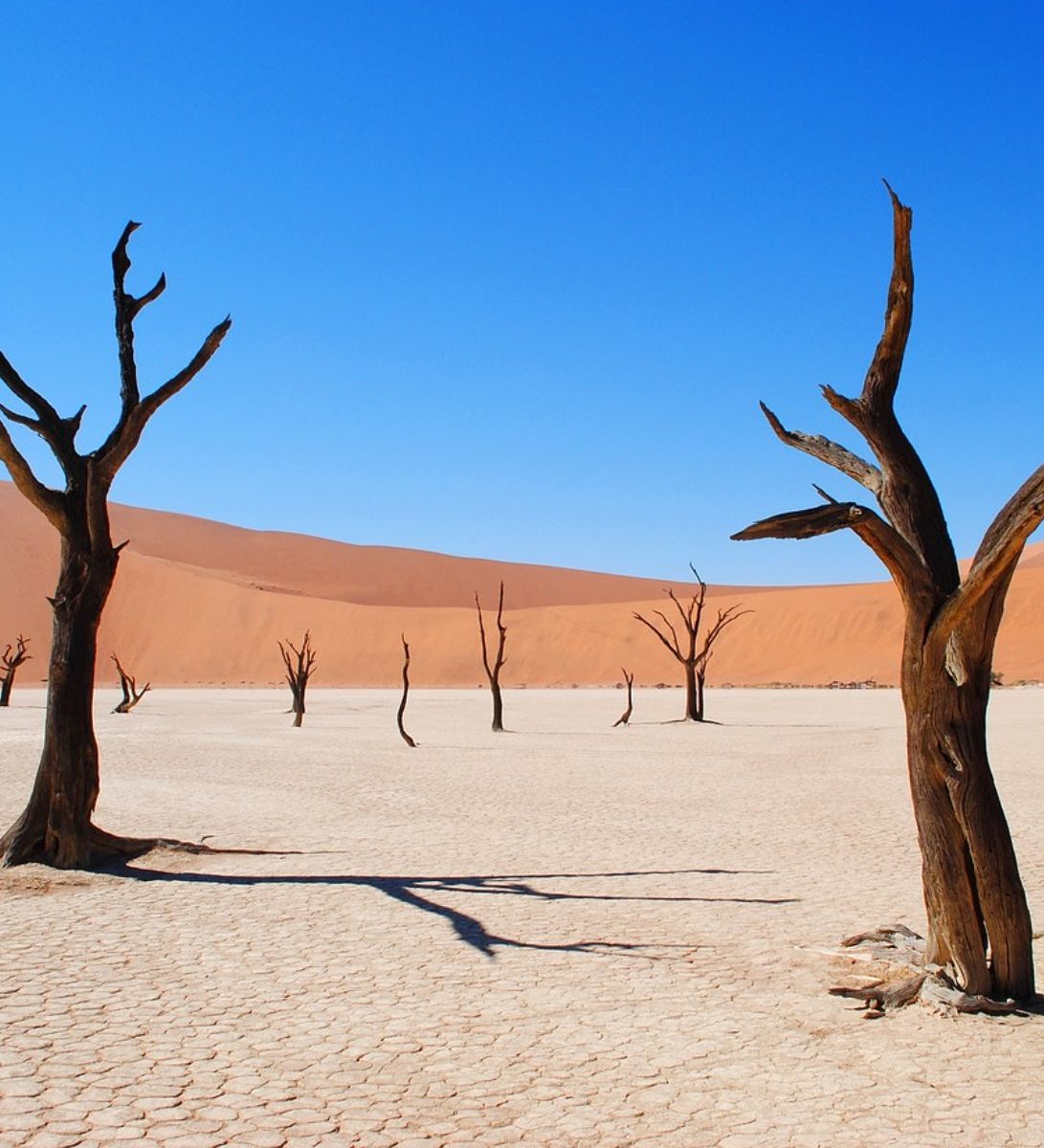Rondreis Namibië, Dead Vlei, zandbergen met gemiddeld bomen Rondreis Namibië, Dead Vlei, zandbergen met gemiddeld bomen