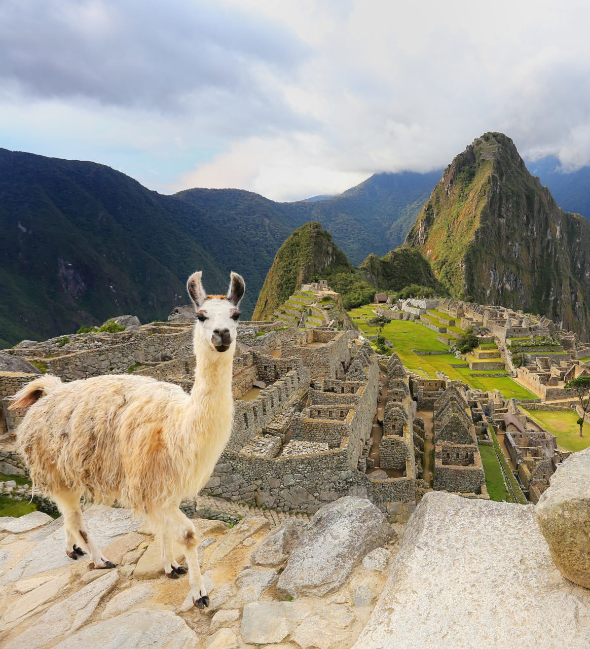 Rondreis-Peru-Machu-Picchu-Lama-aspect-ratio-382-420 Rondreis Peru, Machu Picchu, Lama