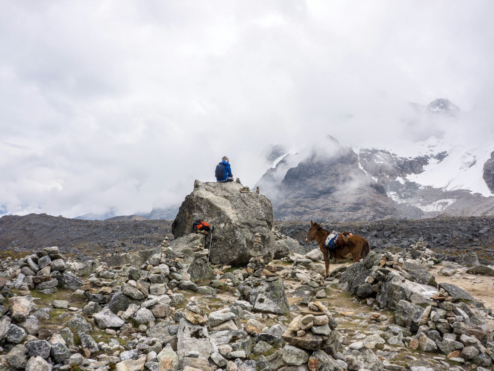 Rondreis Peru, Machu Picchu, Salkantay trekking, wandelaar met een paard