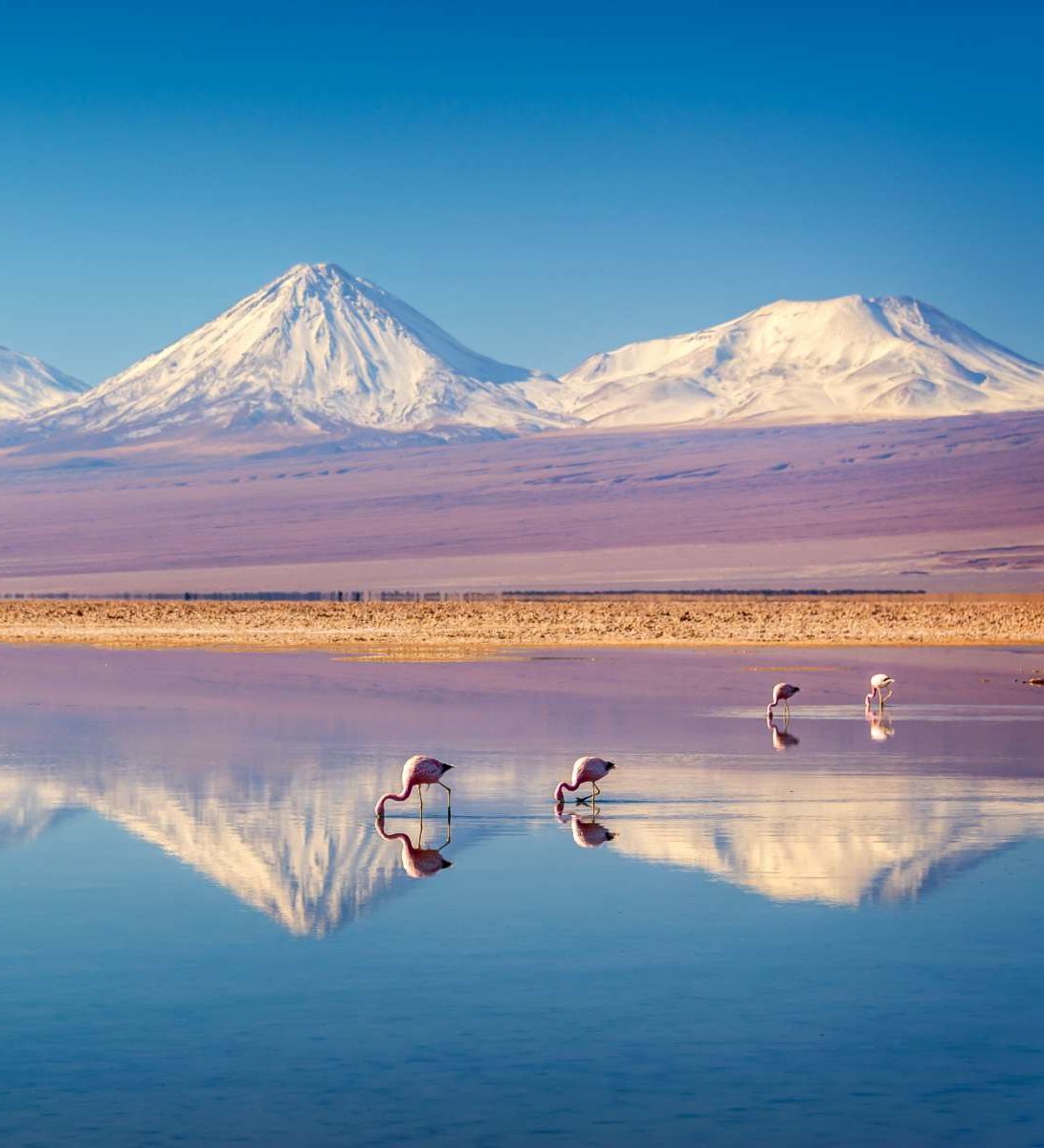 Rondreis Chili, San Pedro de Atacama, Flamingo’s en bergen Rondreis Chili, San Pedro de Atacama, Flamingo's en bergen