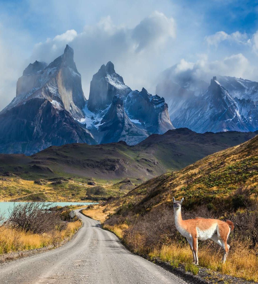 rondreis-chili-torres-del-paine-hoogtepunt-16-aspect-ratio-382-420