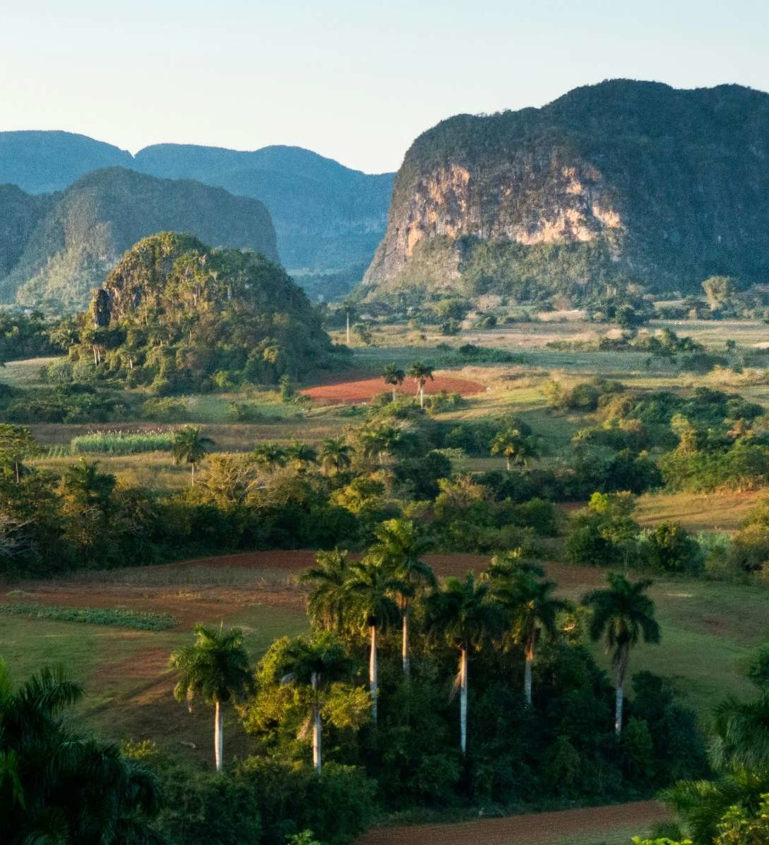 Rondreis Cuba, Vinales, Velden en bergen Rondreis Cuba, Vinales, Velden en bergen