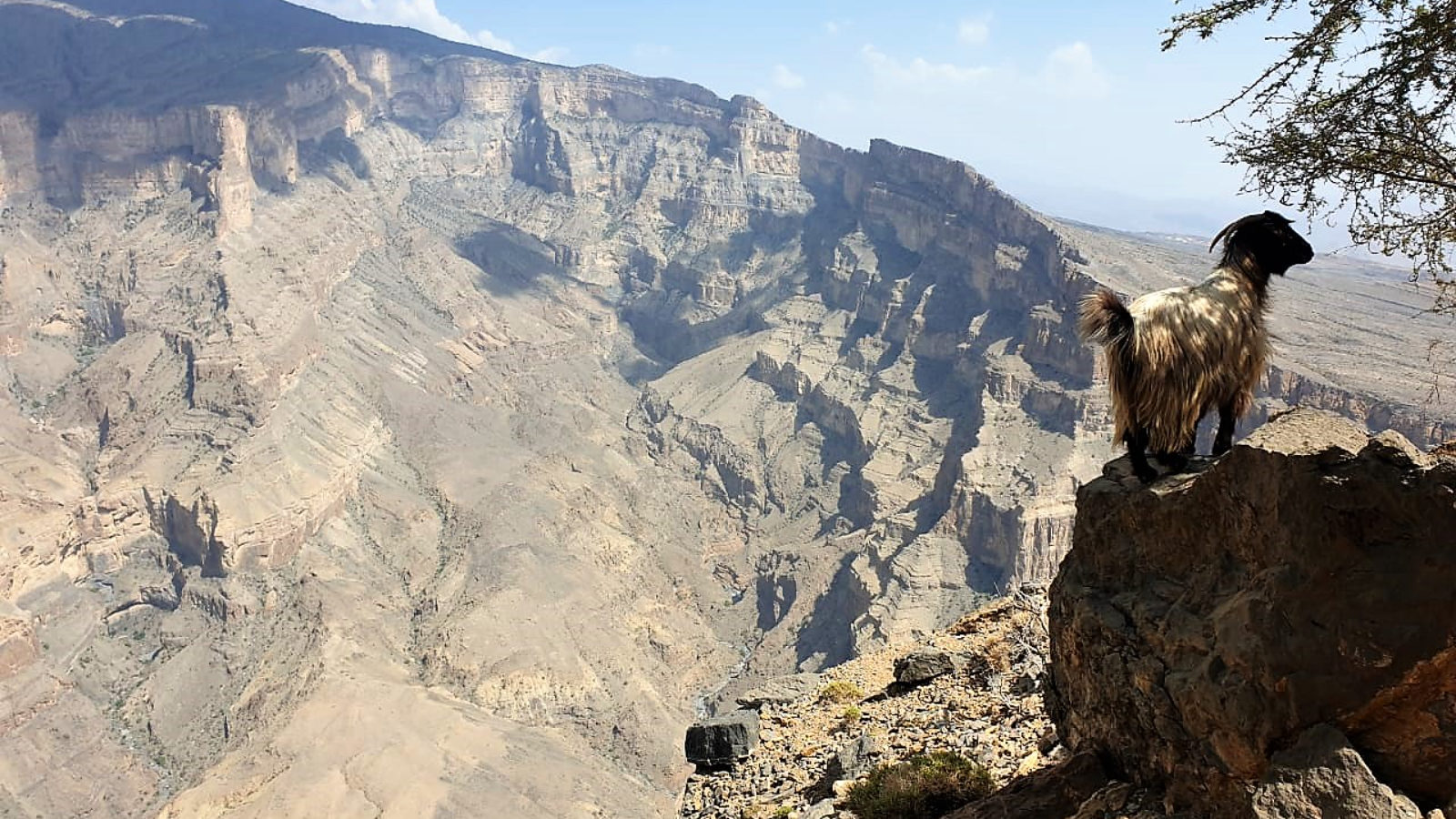 rondreis oman, jebel shams uitzicht