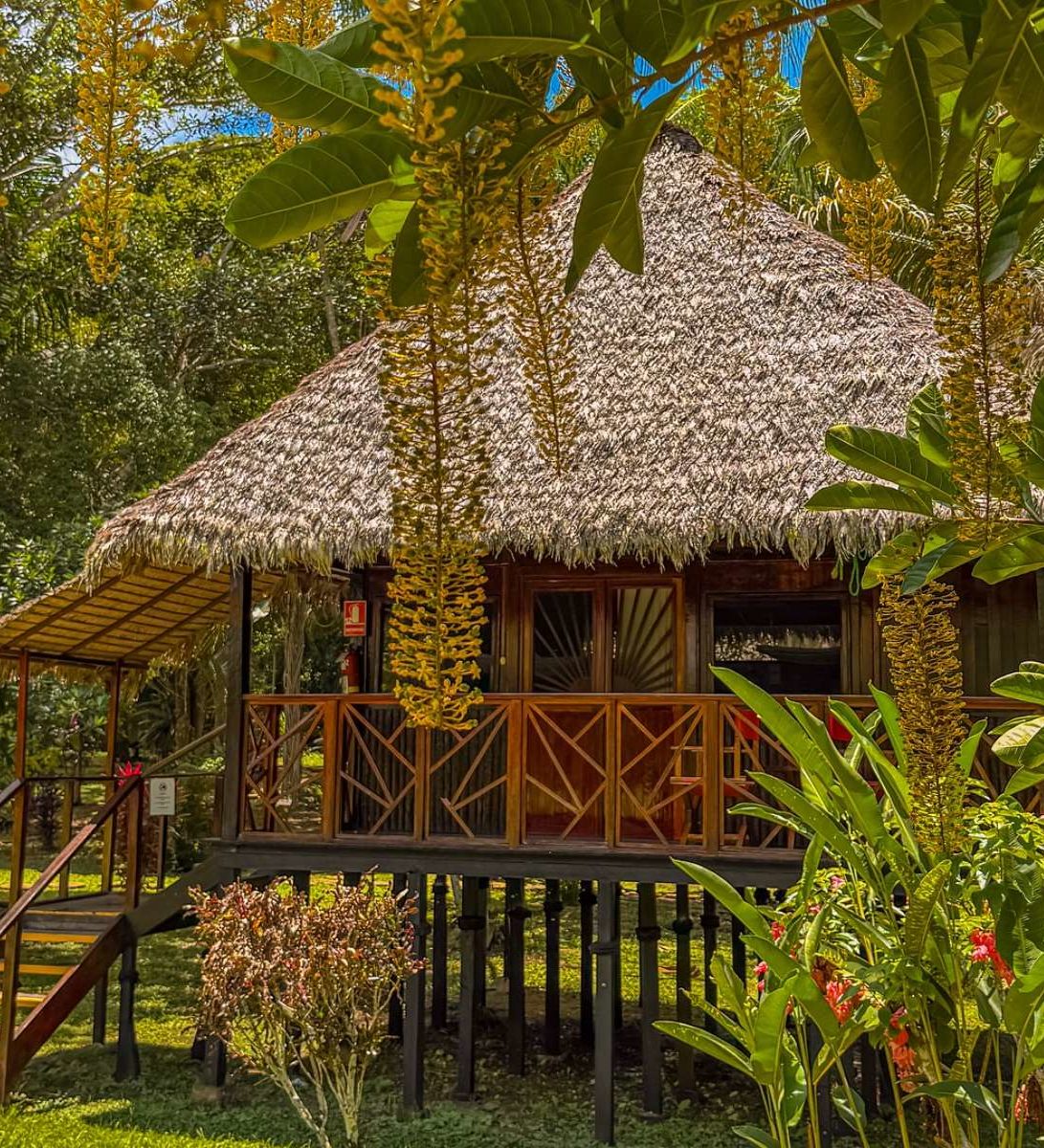 rondreis peru amazone puerto maldonado corto maltes amazonia lodge buitenaanzicht verblijf