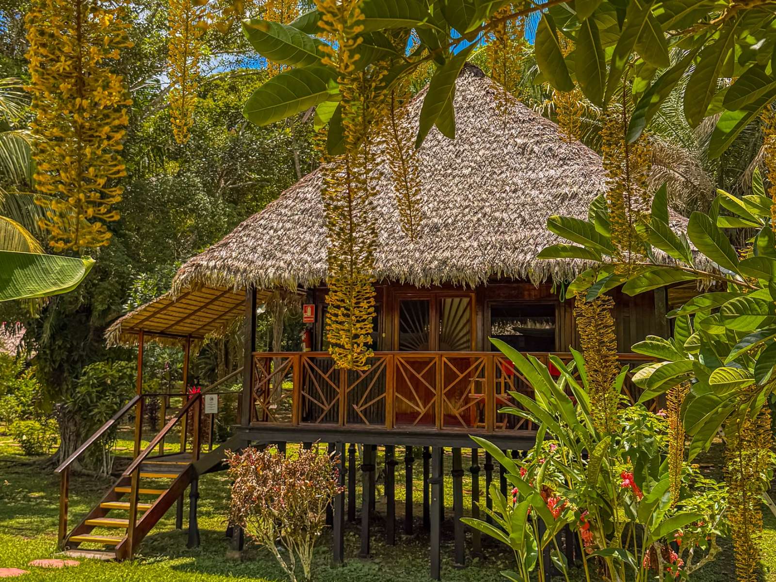 rondreis peru amazone puerto maldonado corto maltes amazonia lodge buitenaanzicht verblijf