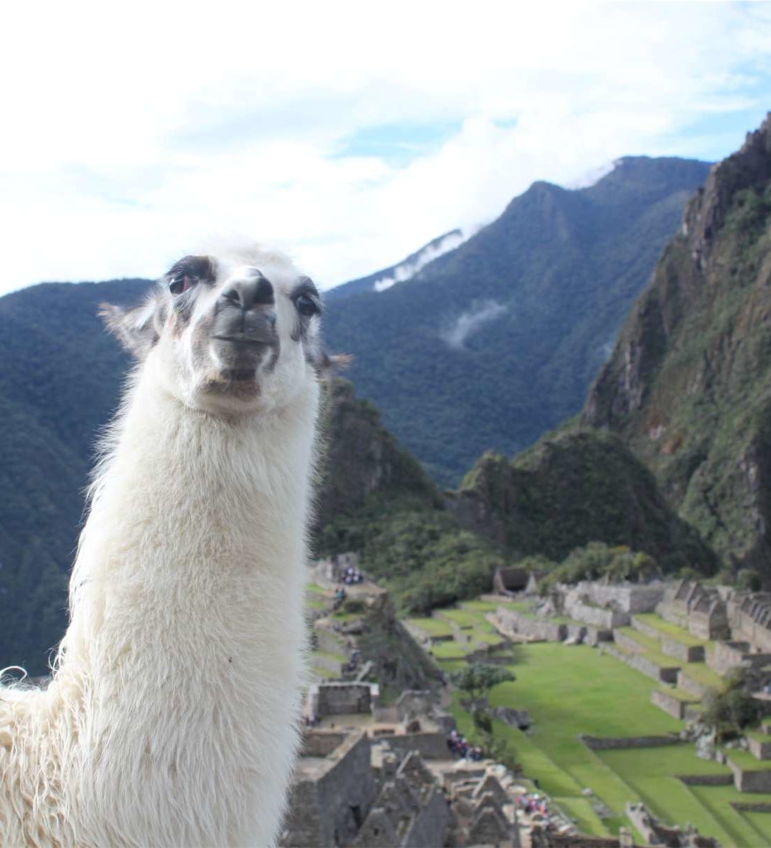 rondreis-peru-machu-picchu-hoogtepunt-2-aspect-ratio-382-420