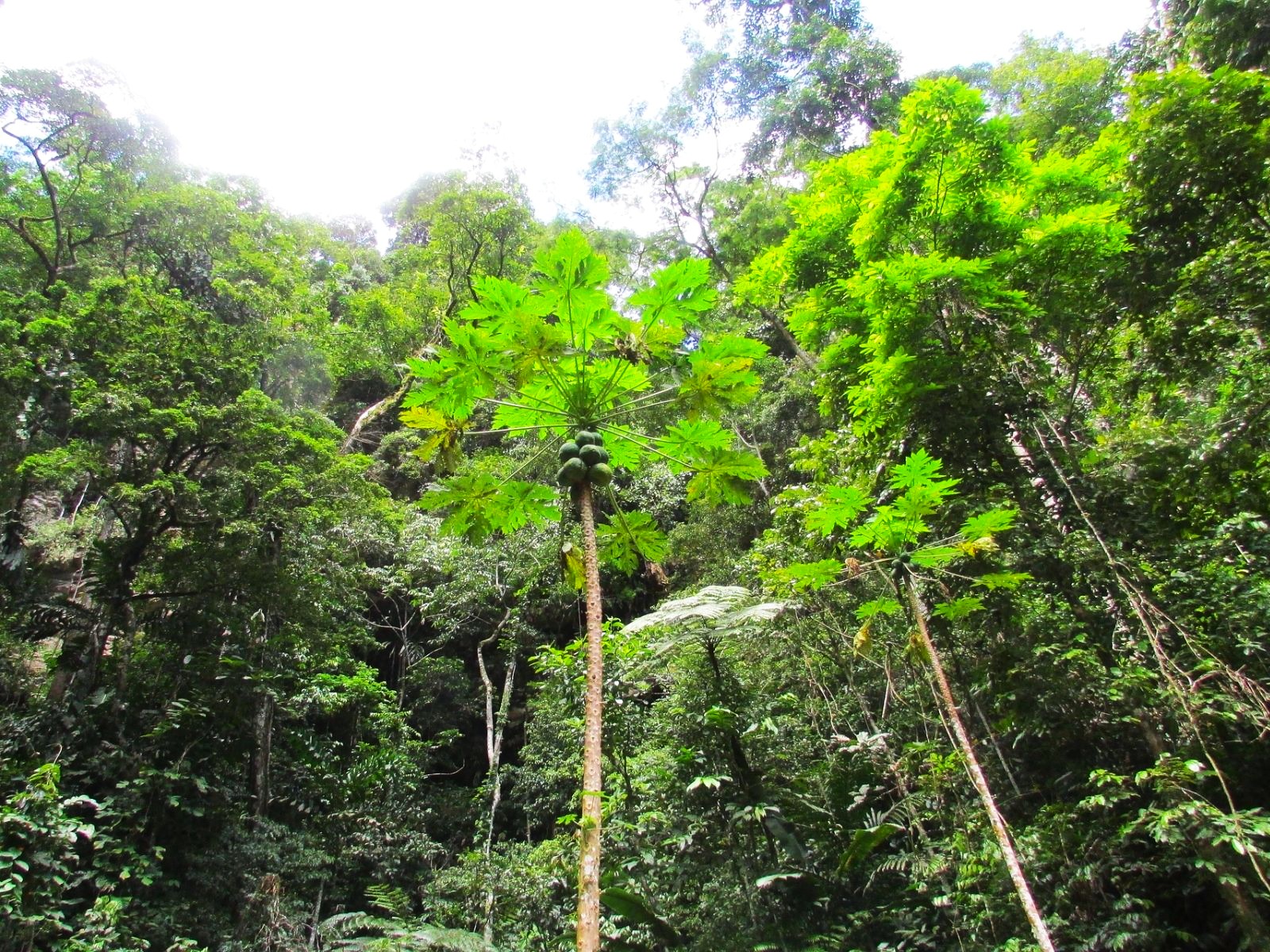 rondreis peru tarapota hoogtepunt 3